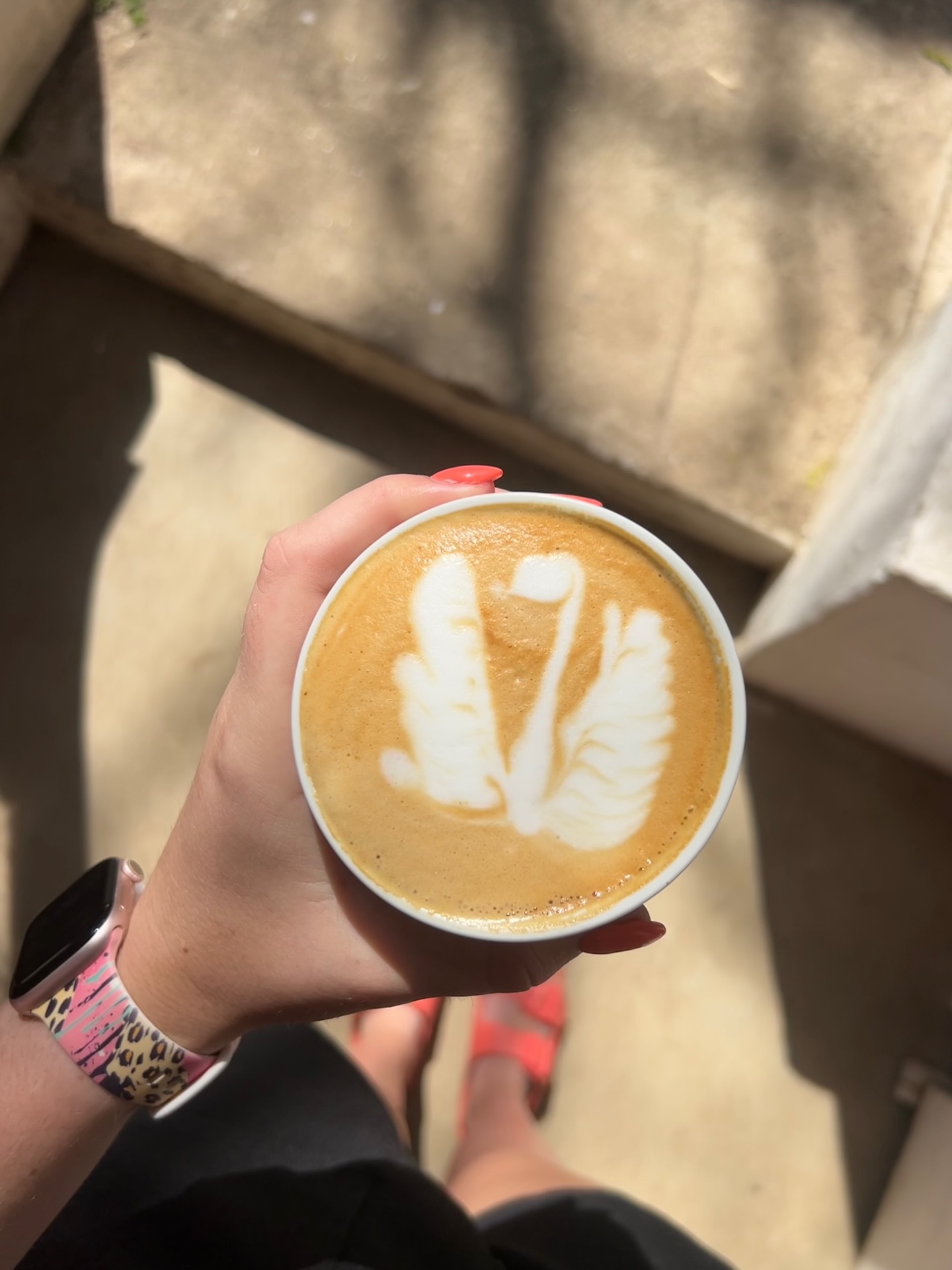 Brewed with love, served with sunshine 🌞
#love #brewed #serve #sunshine #coffee #coffeeshop #tourism #explore #explorepage