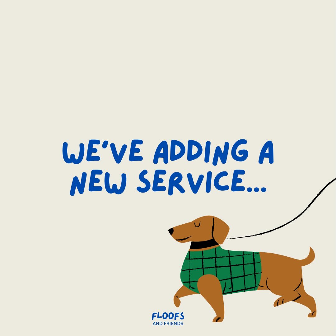 shhh… we’ve been keeping a secret 🤫
We’re planning to expand our services in the new year to GROUP DOG WALKS in SHEFFIELD only (Norwich has it’s own surprise coming 😏
As we still want to be working with our quirky solo dogs, our group dog walks will be for a set day at a set time with a set person.
We will be covering:
✨ Hillsborough or Kelham on TUESDAYS
✨ Walkley and Crookes on WEDNESDAYS
✨ Banner cross and Surrounding on THURSDAYS
These group walks will be:
✨ 1.5 - 2hrs long (including travel)
✨ mixture of routes and enclosed dog parks
✨ ONLY 2 - 4 dogs at a time
✨ we MUST have walked your dog at least 4 times beforehand for assessment on suitability for the group
These lovely, lovely walks will only be £15 per dog 💙
Please send us a message to register your interest! If you’re not a client with us but are interested in these walks, please still message (just means there’s more logistics to plan but we welcome it!!)
#sheffieldbusiness #dogsofinstagram #sheffield