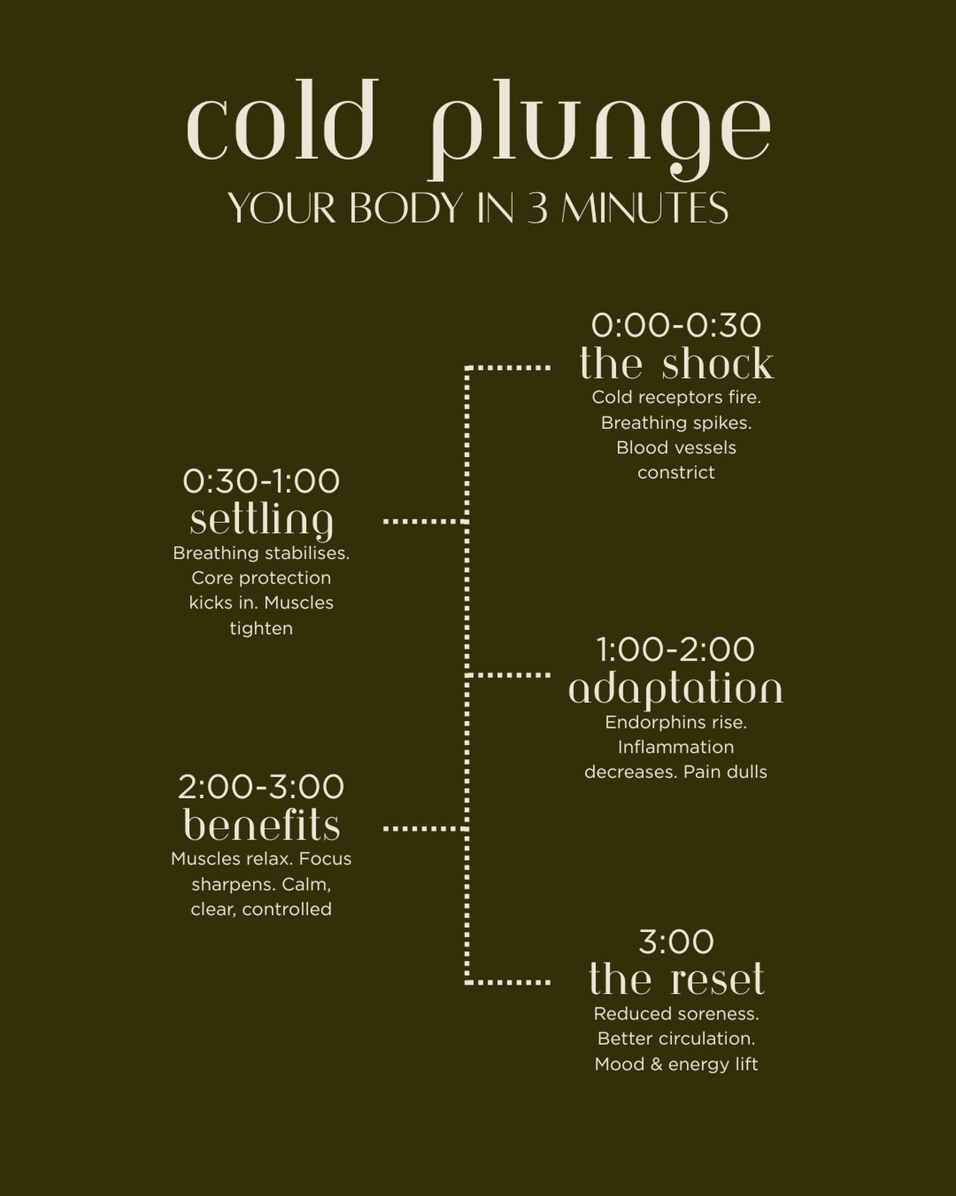 Your body doesn’t just “get cold” — it adapts, protects and resets.
In just 3 minutes, a cold plunge activates your nervous system, reduces inflammation, sharpens focus and supports recovery from the inside out.
Every stage has a purpose.
Every second counts.