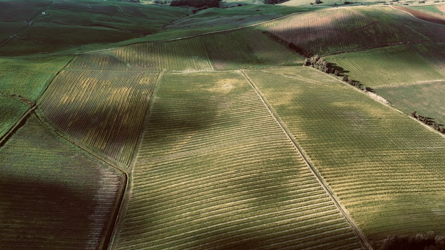 Oggi non si parla di vino.
Oggi si parla di rispetto.
La nostra terra ci insegna che ciรฒ che รจ prezioso va custodito, protetto, ascoltato.
In questa giornata dedicata alla lotta contro la violenza sulle donne, ci uniamo al silenzio, alla consapevolezza e allโimpegno.
Che ogni donna possa vivere libera, sicura, vista e amata.
Terre di Bruca
Contro ogni forma di violenza. โค๏ธ