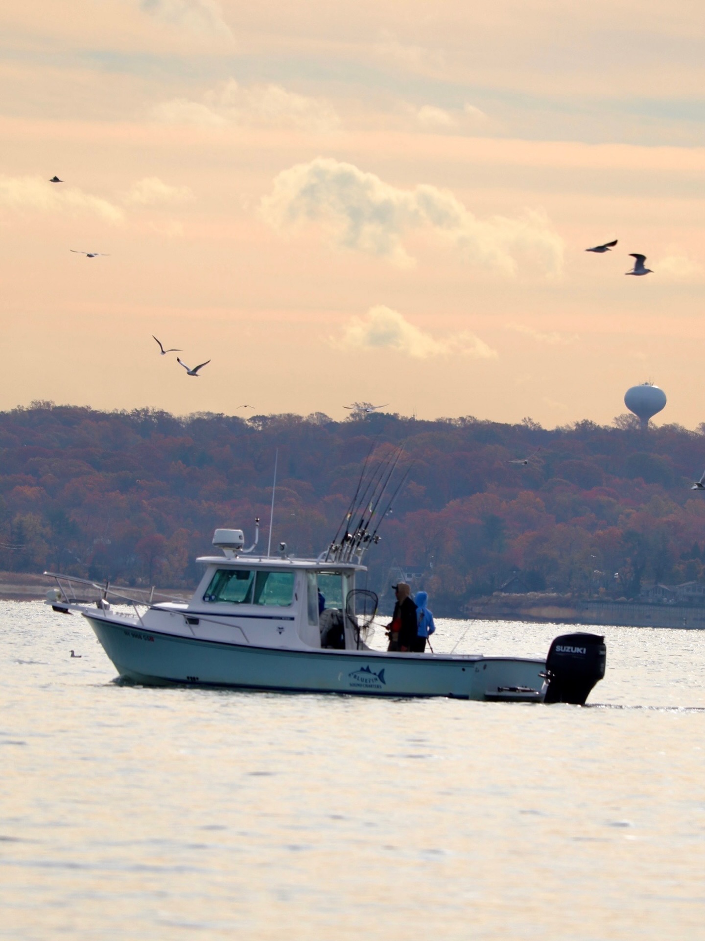 Spring in the Long Island Sound is still 🔥
Big, angry striped bass. Numbers. Action on artificials, trolling, live-lining you name it.
Fall? Not the same.
The issue isn’t striped bass. It’s the bunker.
No adult bunker = big fish don’t stay.
I broke it all down in my latest blog on the website www.bluefinsoundcharters.com
#StripedBass #LongIslandSound #SaveTheBunker #SpringRun #TrophyBass CharterLife