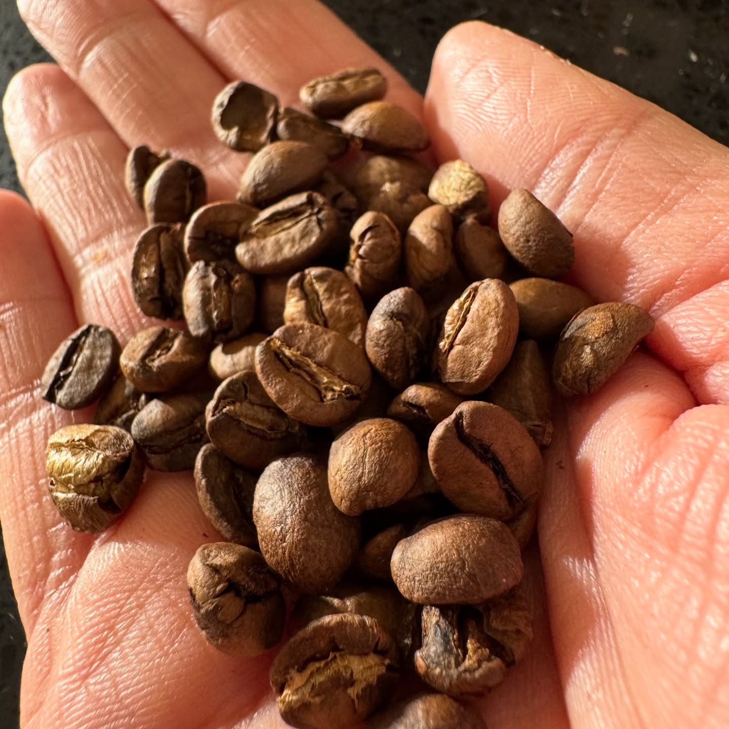 ✨ New Coffee Supplier Alert! ✨
We’ve updated our coffee selection - and we couldn’t be more excited about it!
Say hello to @freedomcoffeeuk a Sevenoaks-based roastery that’s all about ethical sourcing, proper pay, and full traceability. Daniel puts real care into every stage of the process, ensuring farmers receive the going rate and everyone in the chain is treated fairly. And of course, that you get a great cuppa ☕ 🤎
We’re proud to now stock three incredible single-origin beans:
🇧🇷 Brazil – Fundamental
🇪🇹 Ethiopia – Blueberry Bette Buna
🇵🇪 Peru – Like Chocwork
Each one is fully traceable, beautifully roasted, and ready to take your home brews to the next level.
Pop in and discover your new favourite cup!
We’d love to know what you think ☕️