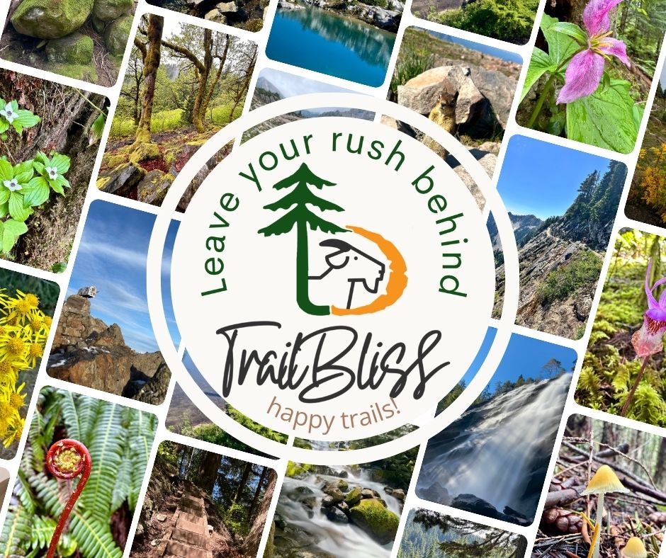 Thank you, TrailBliss community.
For every mile we walked together this year.
For the laughter, the shared silence, the foggy mornings, the muddy boots, and the moments that caught us by surprise.
Here’s to more wonder, more peace, and more good company in 2026. #hikingadventures