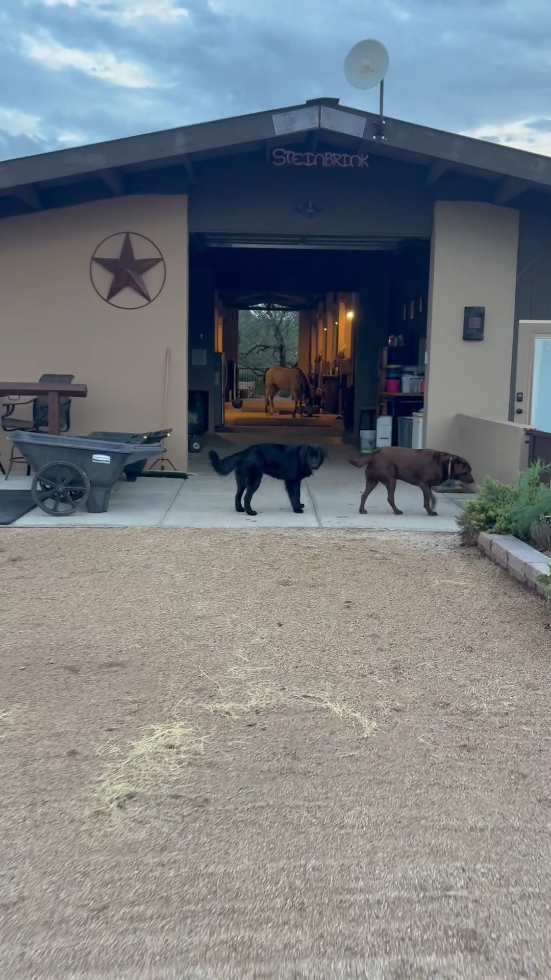 Thank God there were snacks in the barn aisle... otherwise Clyde might've gone for a wander.