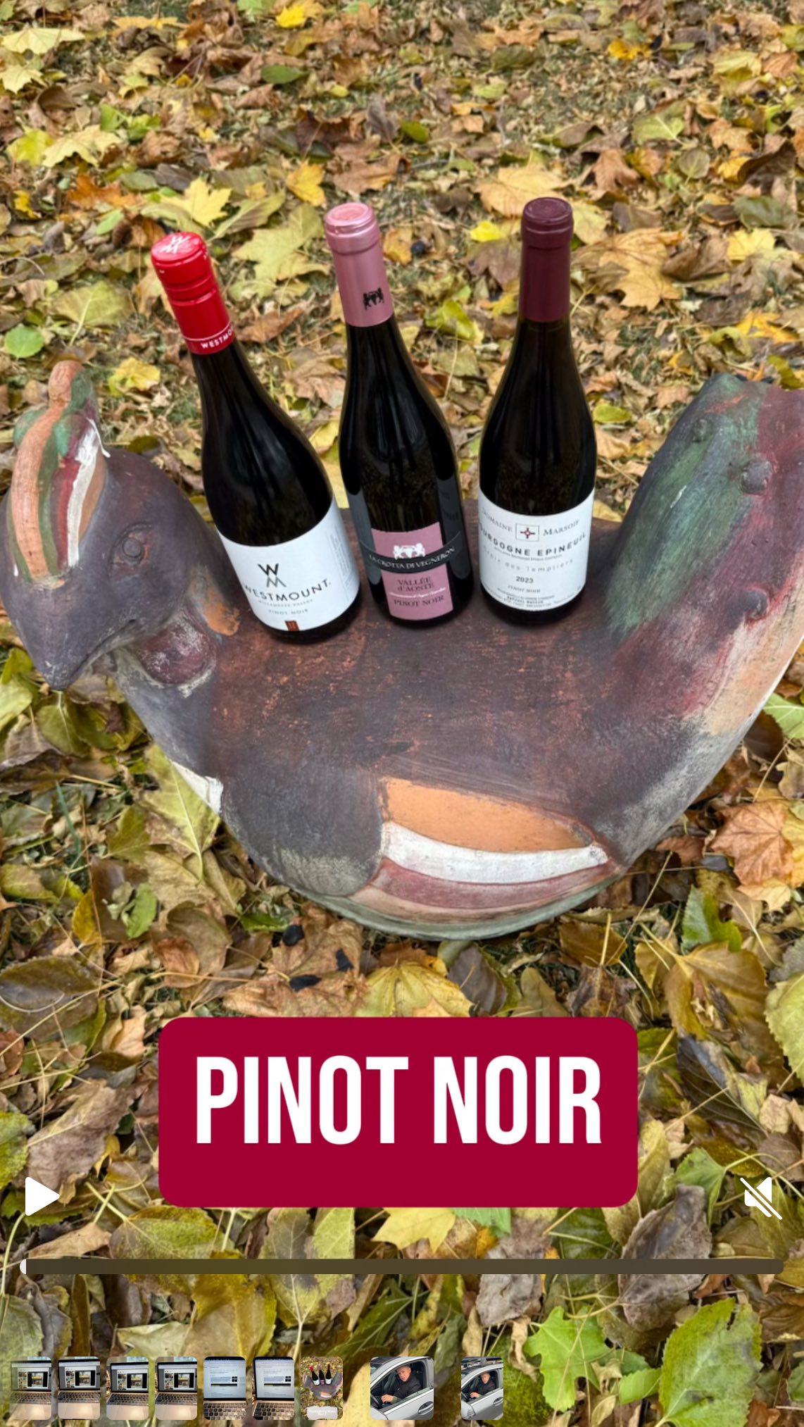 THANKSGIVING WINES - Part 3 (Sip Clip #46) Today we talk to some local wine experts about the perfect red wine for the Thanksgiving Feast! Happy Thanksgiving! #craftandcru #binendswine #foodandwine #redwine #pinotnoir #burgundy #willamettevalleywine #thanksgivingwine #holidaydrinks #fruitcentermarketplace www.kronivino.com