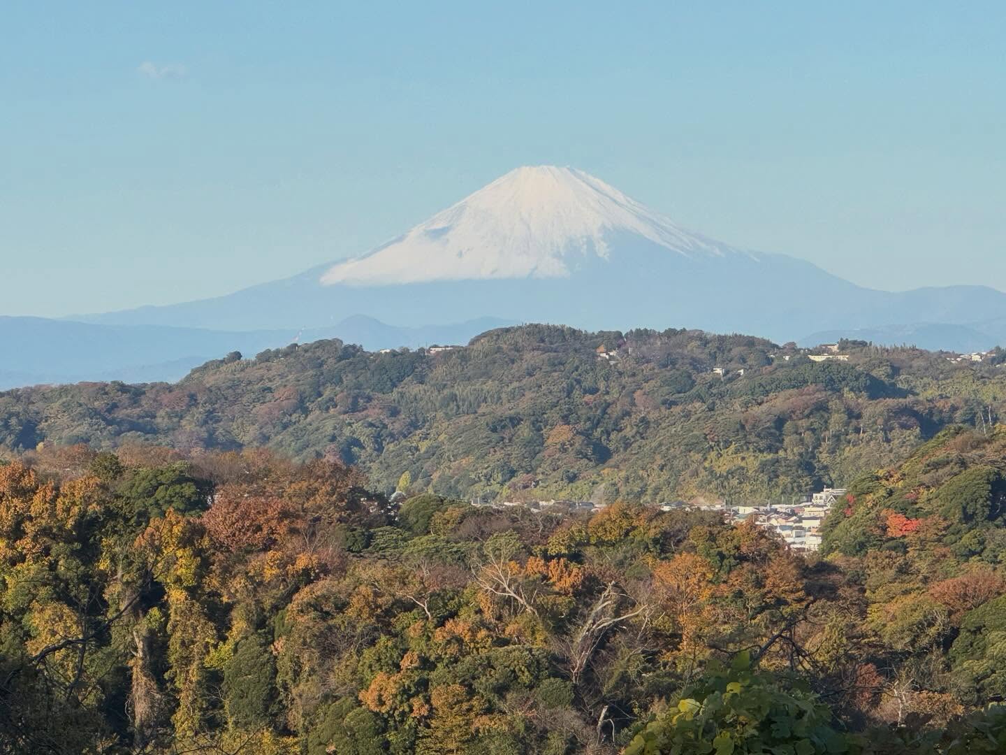 Beautiful sunny day in our neighborhood.