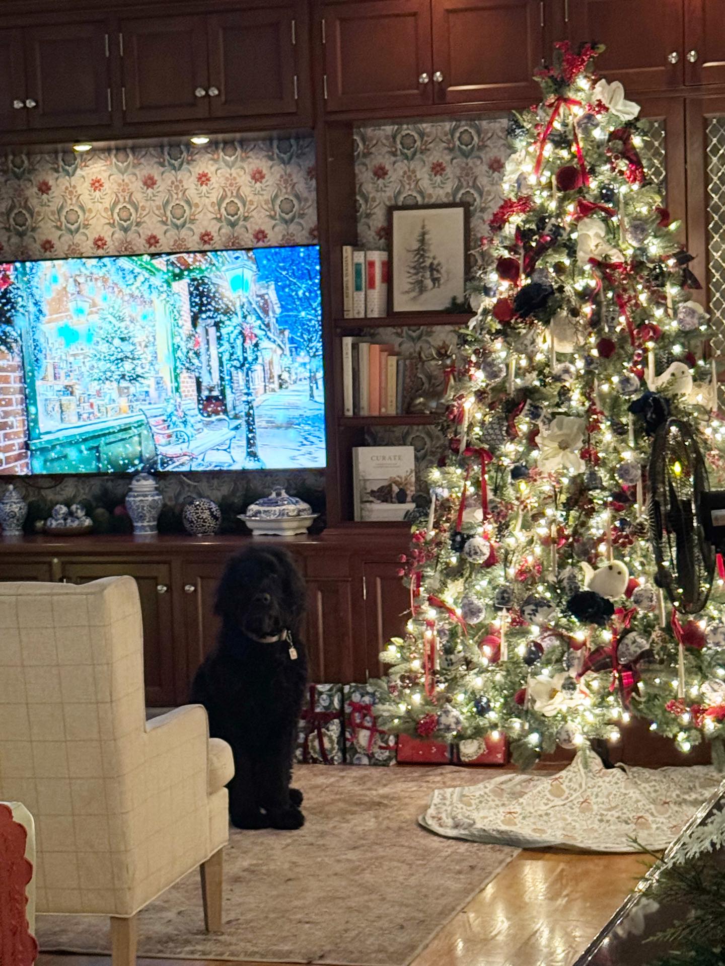 My friends, I have posted a lot pictures of my house decor recently and I have so many comments and likes, thank you! Three things that have been really popular with my online community are the mannequin tree, the gold deer on the counter and, and my sleeping dog. However, the dog you all are loving so much is actually a sculpture of a dog that we call Bartholomew. He is pictured in the navy accent chair in the dining room and he is by far the best behaved pup in our house! He never makes a mess and his food costs are very low! 😂😜
In all seriousness, lots of people have messaged asking if we got a new pup and no, we haven’t. We still have our two older pups, Rufus the big black golden doodle and George our 13 year old English bulldog. They are both a very important part of our lives, my best friends and always my design helpers. They monitor my work from their sleeping positions.
Thanks for loving Bartholomew and my crew so much. I know I will be asked by someone so I will share a little on the sculpture, we purchased Bartholomew 8 years ago from Urban Barn and he has been a fixture in my design work ever since. I love to add the dramatic or the unexpected to my home, it’s what differentiates a home from a show piece. I want to remind you to not be afraid to add a little fun, a conversation piece, into you home designs. My guests love him, he is an instant laugh and conversation starter, especially when a guest goes to pet him! Have a wonderful day my friends!
#christmasseason #dogsofchristmas #sculputure #fundecor #christmasiscoming