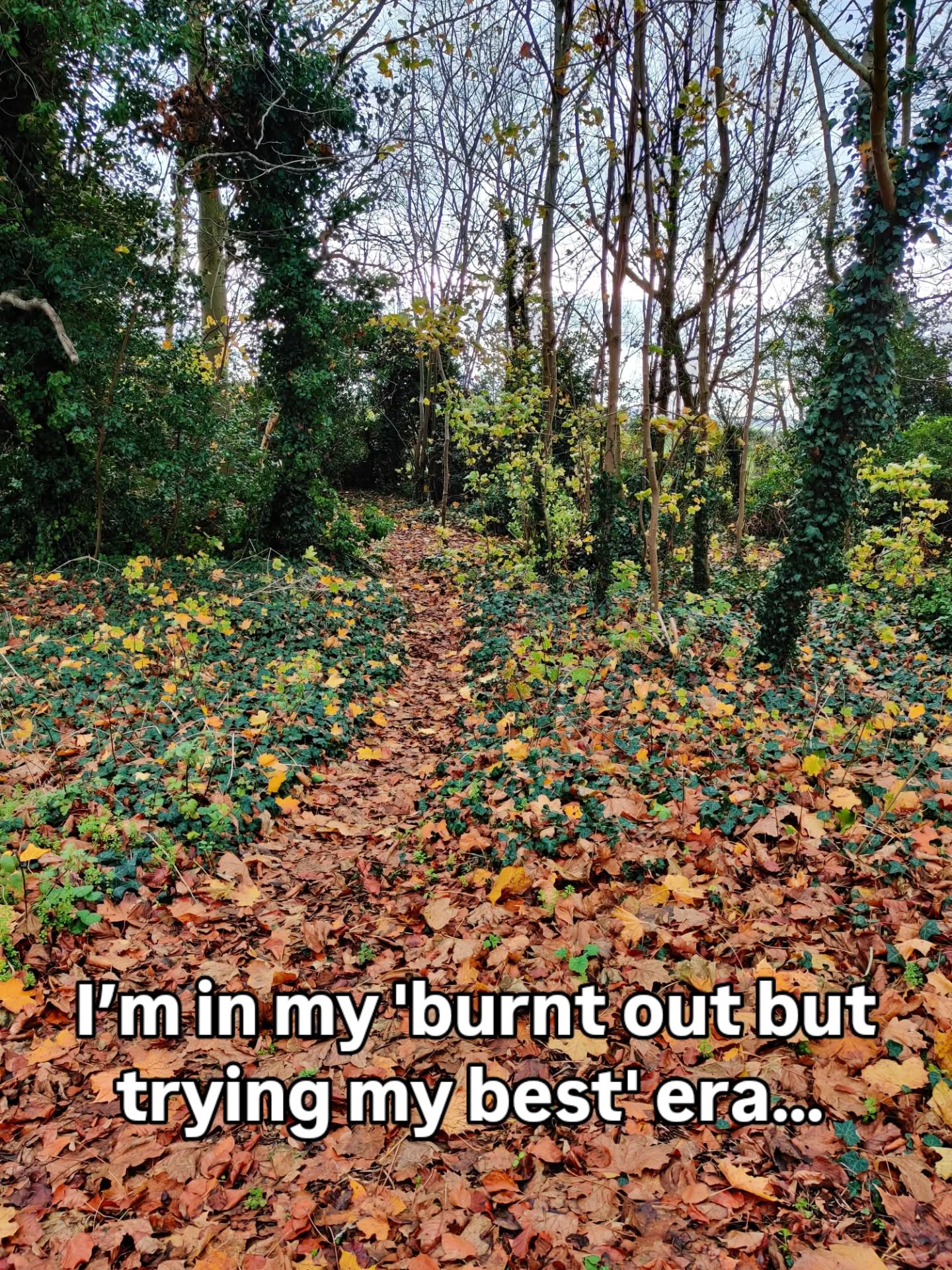 It's not the cure to burnout but it is golden. If you want a post focusing on my favourite short books to read when you're stuck in burnout, let me know below.