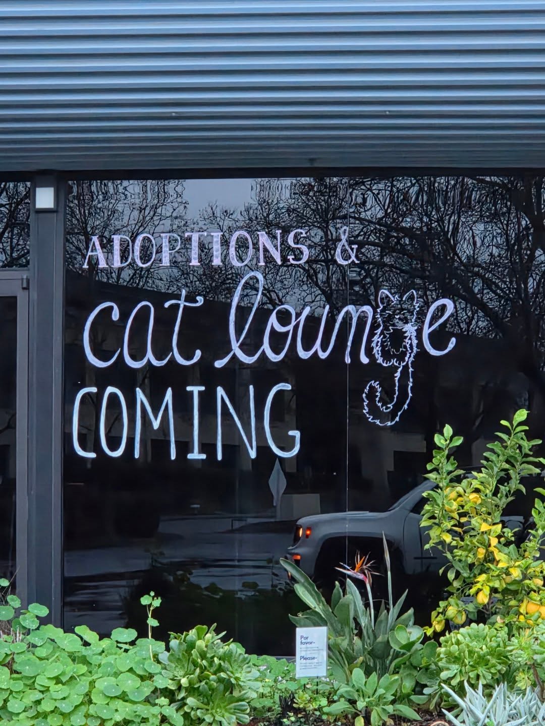 Then there's this! February 2026!!! (This is a NEW space next door to @pointwestflowermarket)