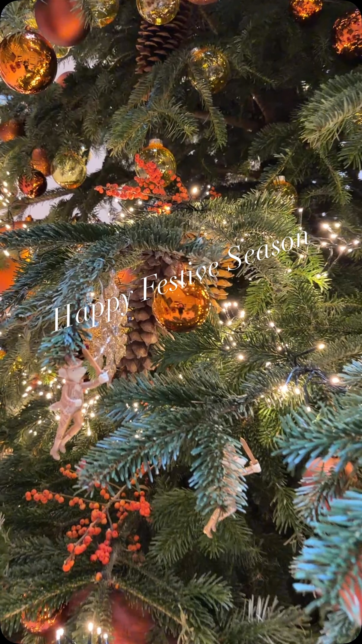 The trees are dressed with warm coppers and golds, nutcrackers and fairy’s. We wish you a very happy festive season.
#blomsterdekoratör #blomsterdesignsflowers #blomster #christmasseason #christmastree #christmastraditions #christmasdecorations #fourseasonshampshire #fourseasonshotel #hampshire #florals #mastercreations #hanschristmasandersen