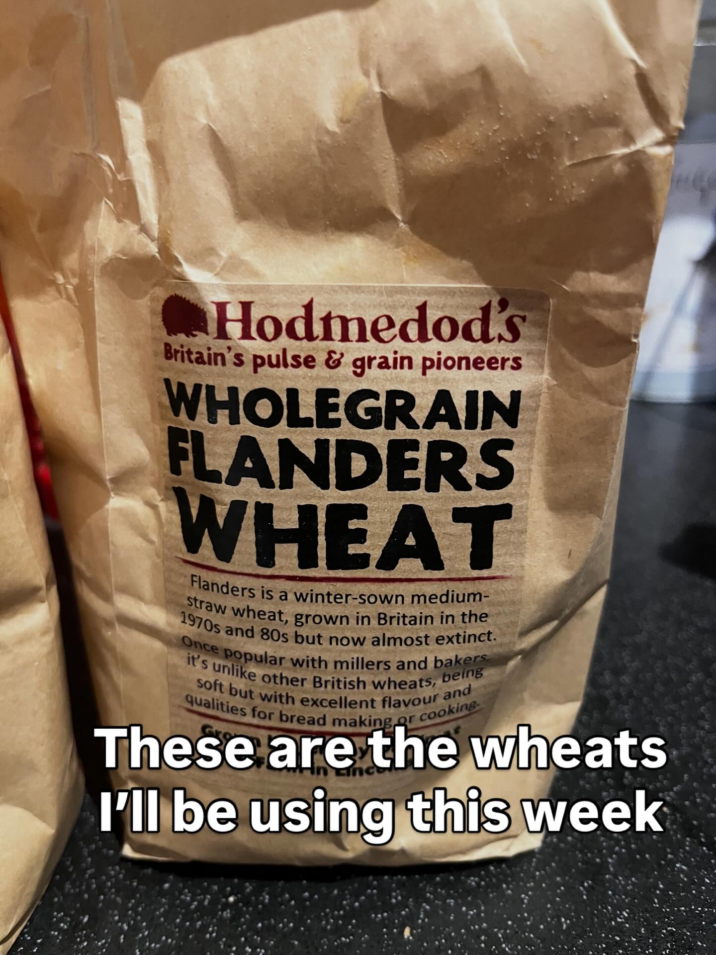 It’s actually a joy to mill your own grain for the loaves I’m making. Thank you @hodmedods for supporting our farmers.