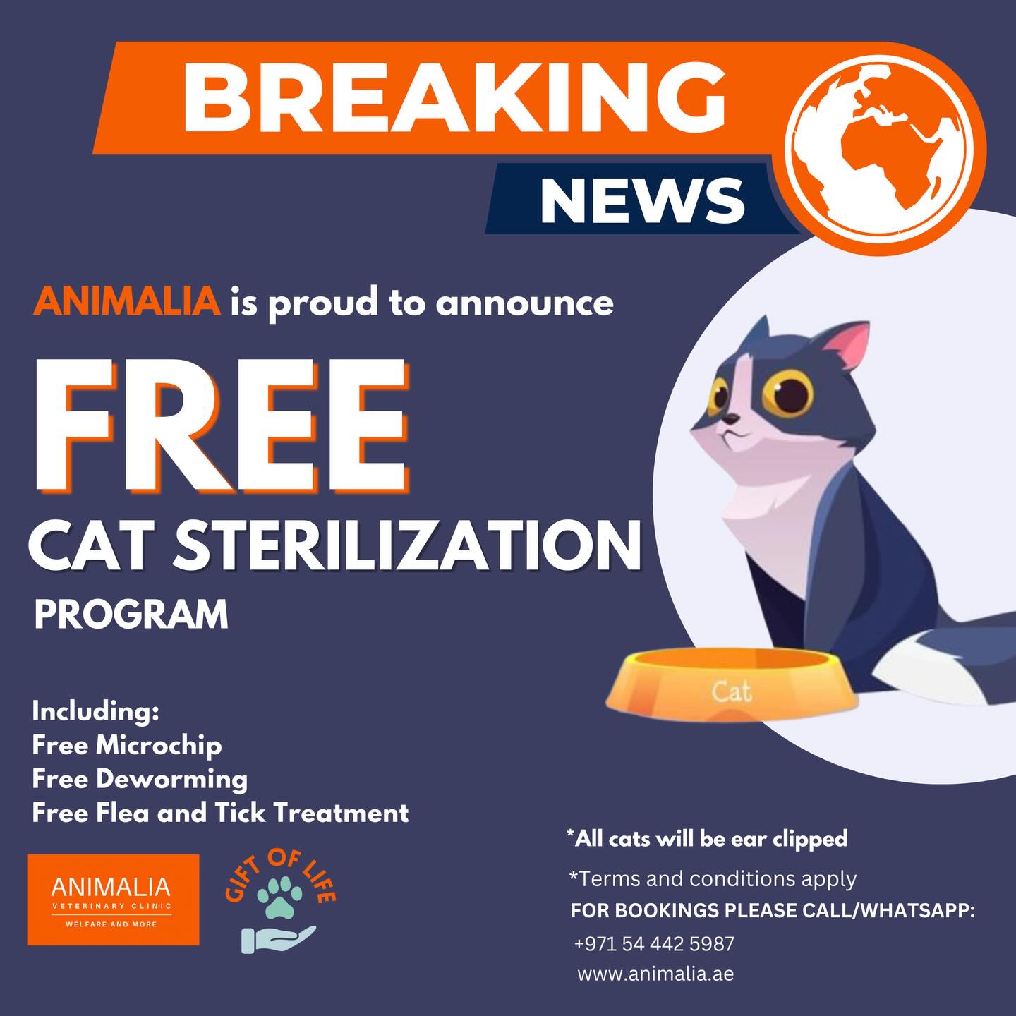 **Free community cat sterilization**
#animaliauae #uae #loveuae #cats #animals #animalwelfareinschools #communitycats #animalrescue #abudhabi #animalcare #vetclinic #veterinaryhospital #veterinaryclinic#mastersurgeon #surgery #adoptdontshop #catadoption #education #animaliapaws #animalwelfareabudhabi#animalwelfareeducation #youthprograms #sustainability #yearofcommunity #uae2025 @dofeuk @animaliauae