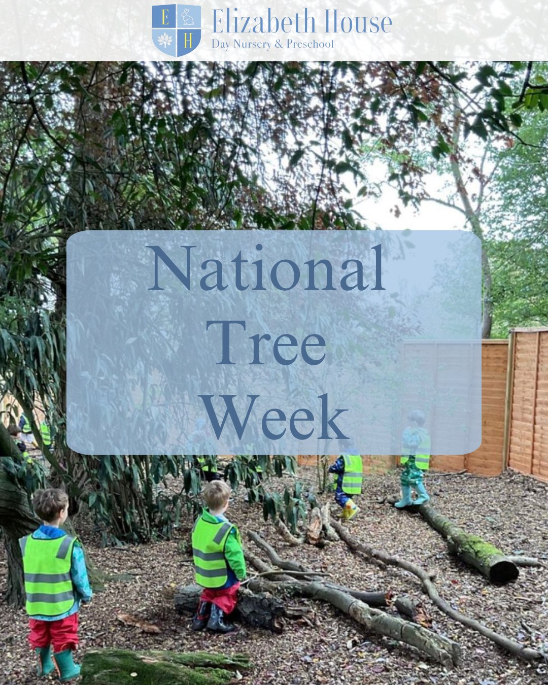 We’ve been celebrating National Tree Week by spending extra time in our garden and Forest School area. 🌿
The children have been hunting for fallen leaves, looking closely at bark textures and talking about how trees change through the seasons. It’s a wonderful chance to connect with nature and to remind ourselves how important trees are for all living things.
#preschool #elizabethhousenursery #nursery #earlyyears #eyfs #wallingford #oxfordshire#nationaltreeweek #forestschool #outdoorlearning #learningthroughnature