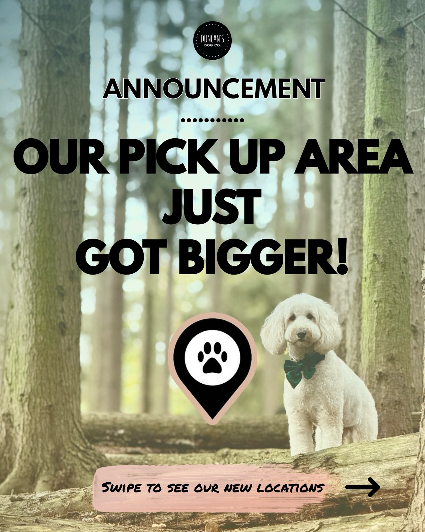 BIG NEWS! We’re opening our pick-up service to new areas and offering a few exclusive trial day spots! 🙌🏼
If your home is on the new route list, your dog gets the full Duncan’s Dog Co experience!
🌳Licensed woodland daycare.
🎾Structured play.
🚙Secure transport with trained staff.
✨A calm, safe environment every day.
New areas now open:
- Weybridge
- St George’s Hill
- Hersham
- Walton on Thames
- Byfleet
- West Byfleet
Spaces are limited so we keep our care standards high. 🐕
Tap the DM button or contact us via email to check availability and book your dog’s trial day! 🐾
