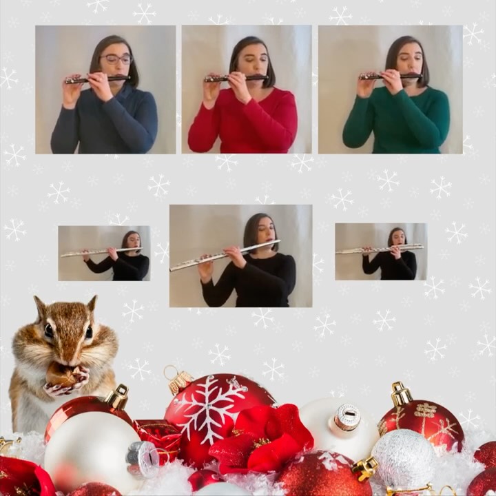 I spent my morning at puppy class with Bertie, so here's a Christmas song about some other mischievous critters! 🐿 #jollyfluteadvent2025 #flutechoir #flutemusic #christmasmusic #adventcalendar