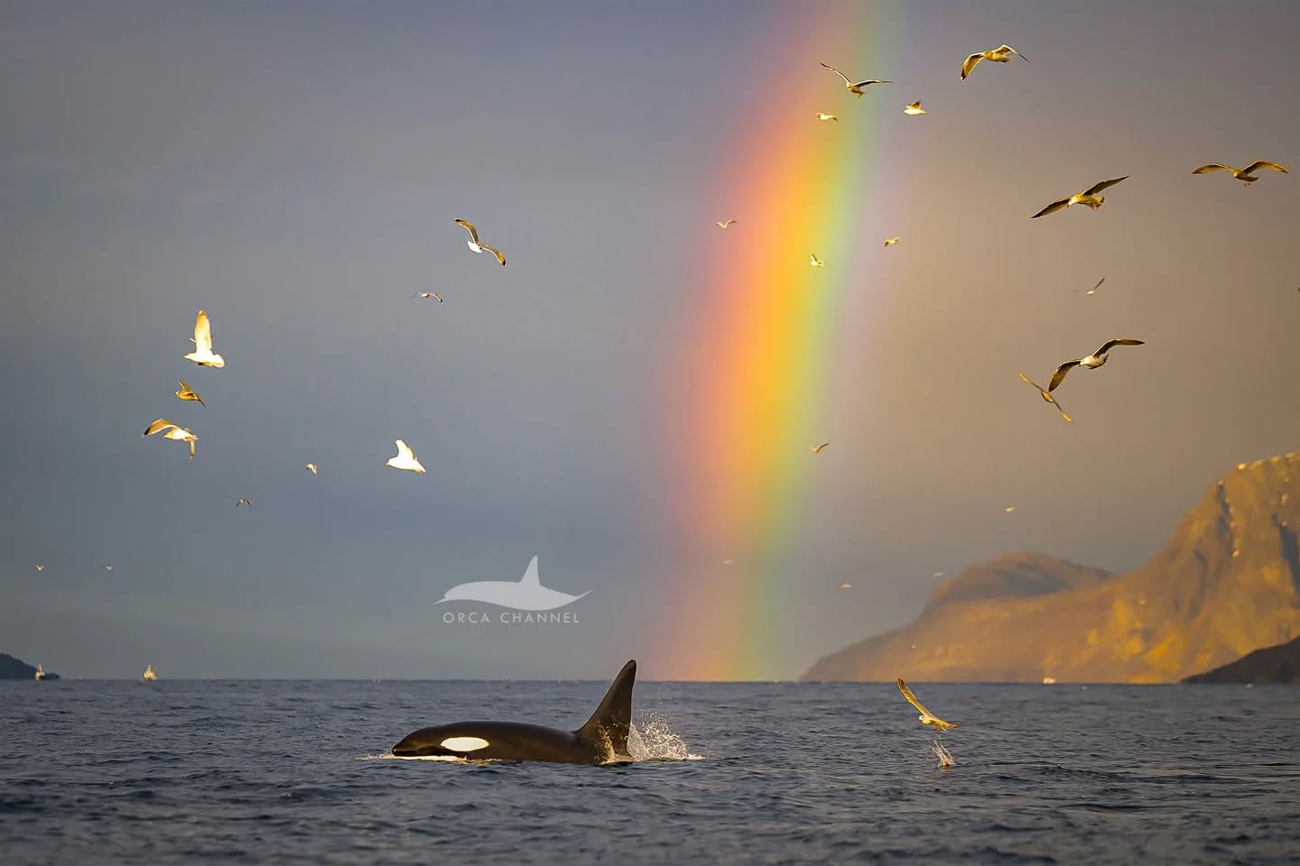 📷 Krisztina Balotay @krisztinabalotay