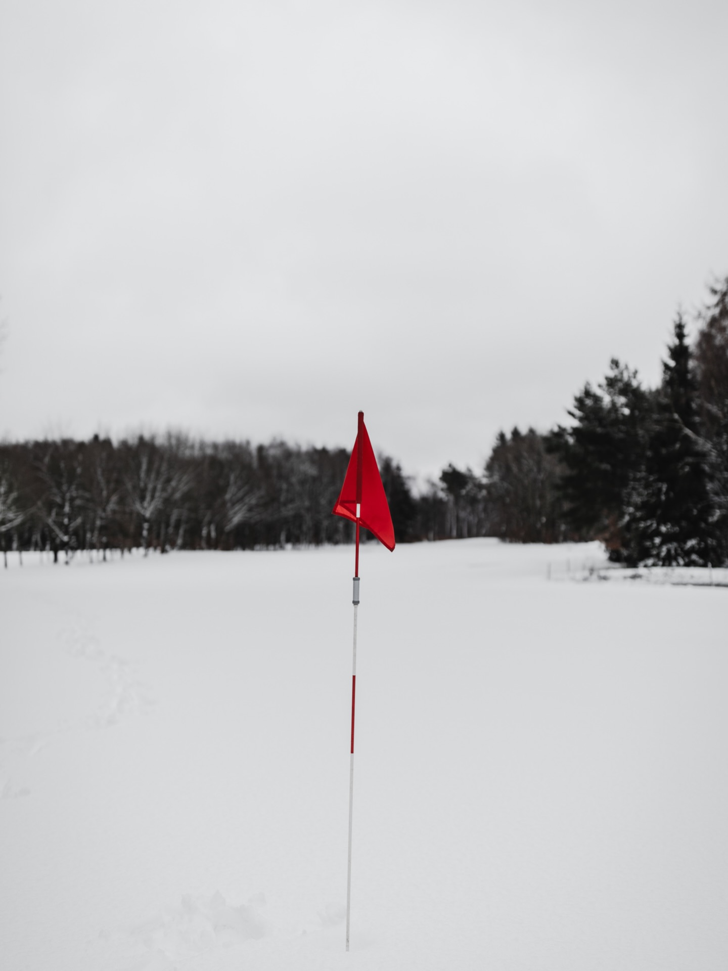 Winterwonderland #golf #golfstargram #golfplatz