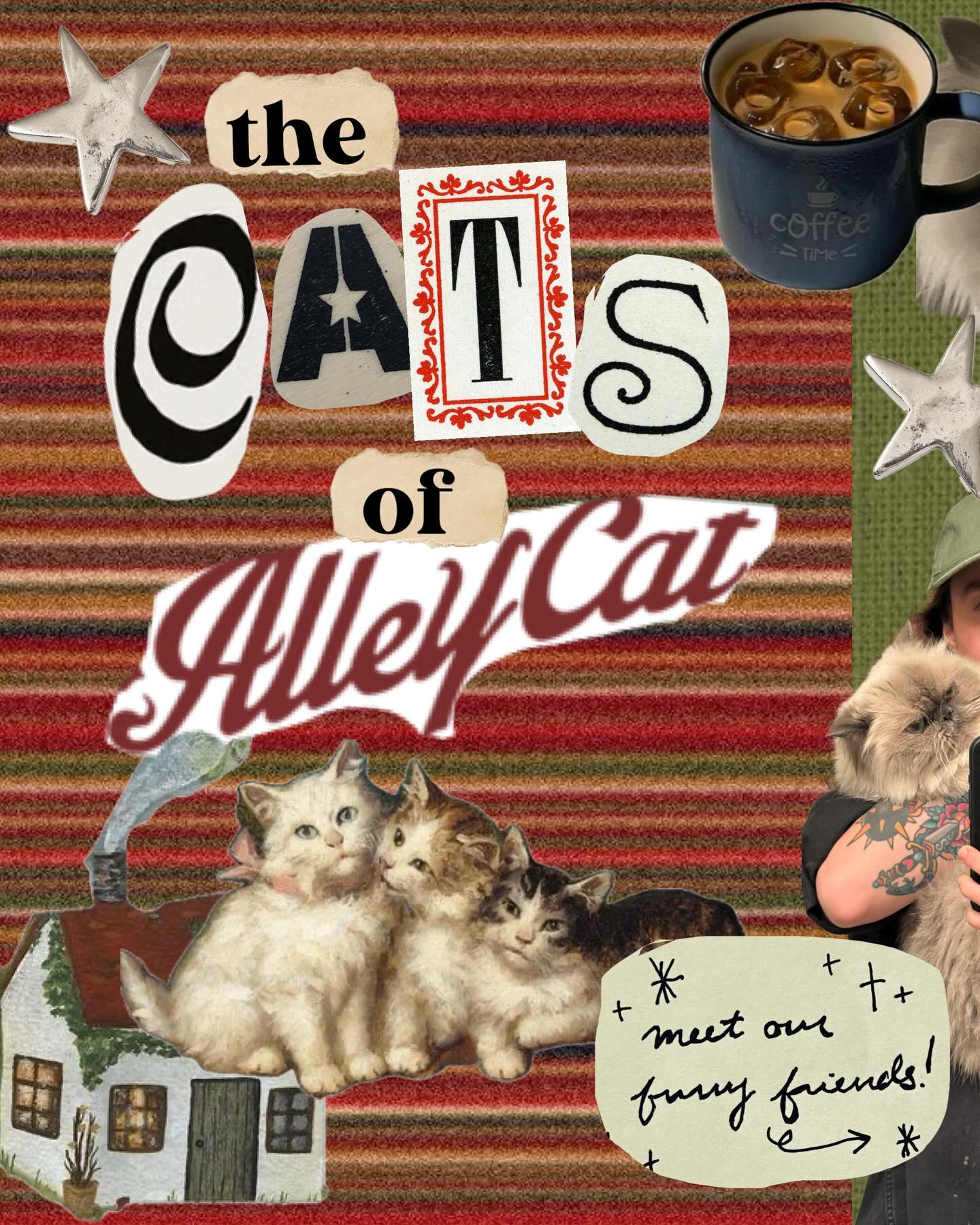behind every great barista is a great cat waiting at home. meet the kitties that give alley cat its magic! ⋆✴︎˚。⋆