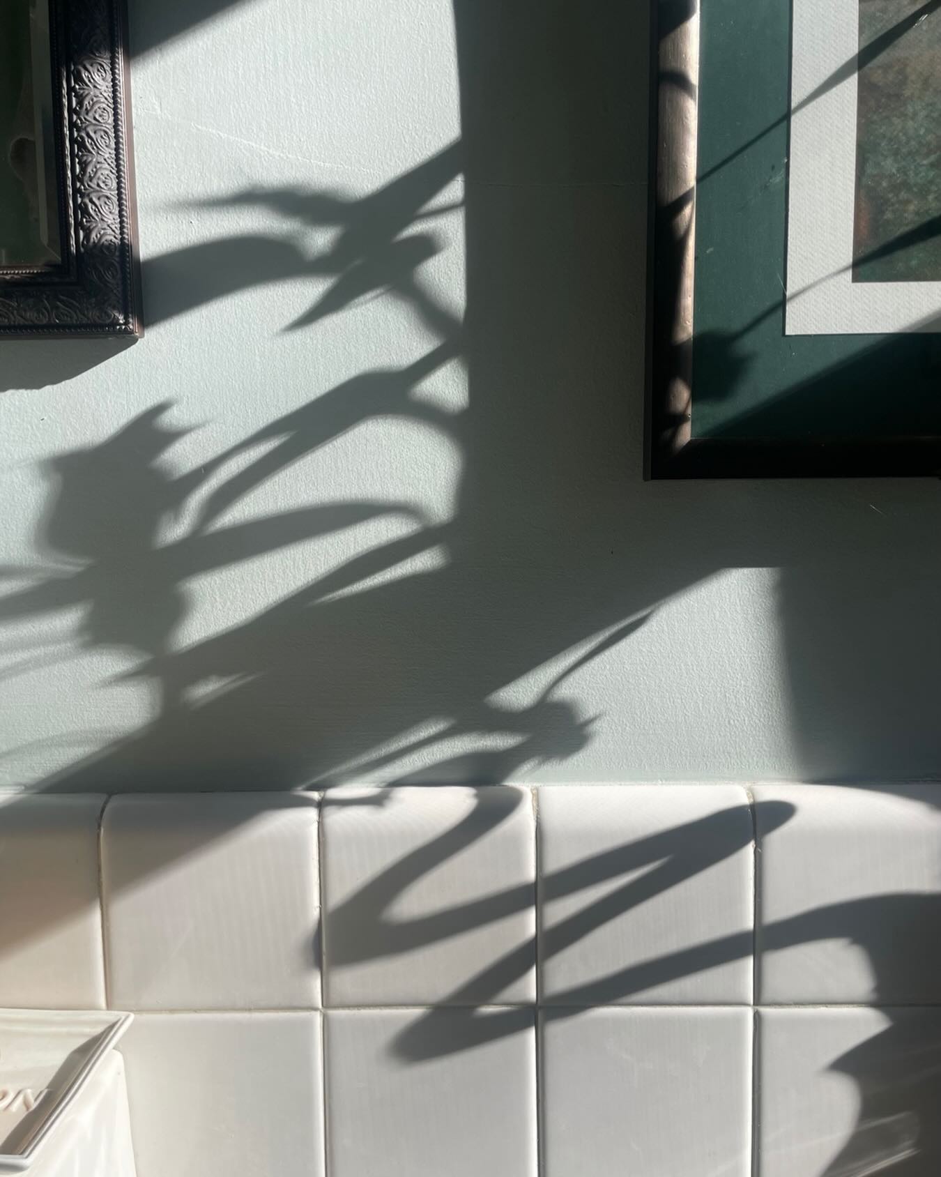 #morninglight #studiolightandspace