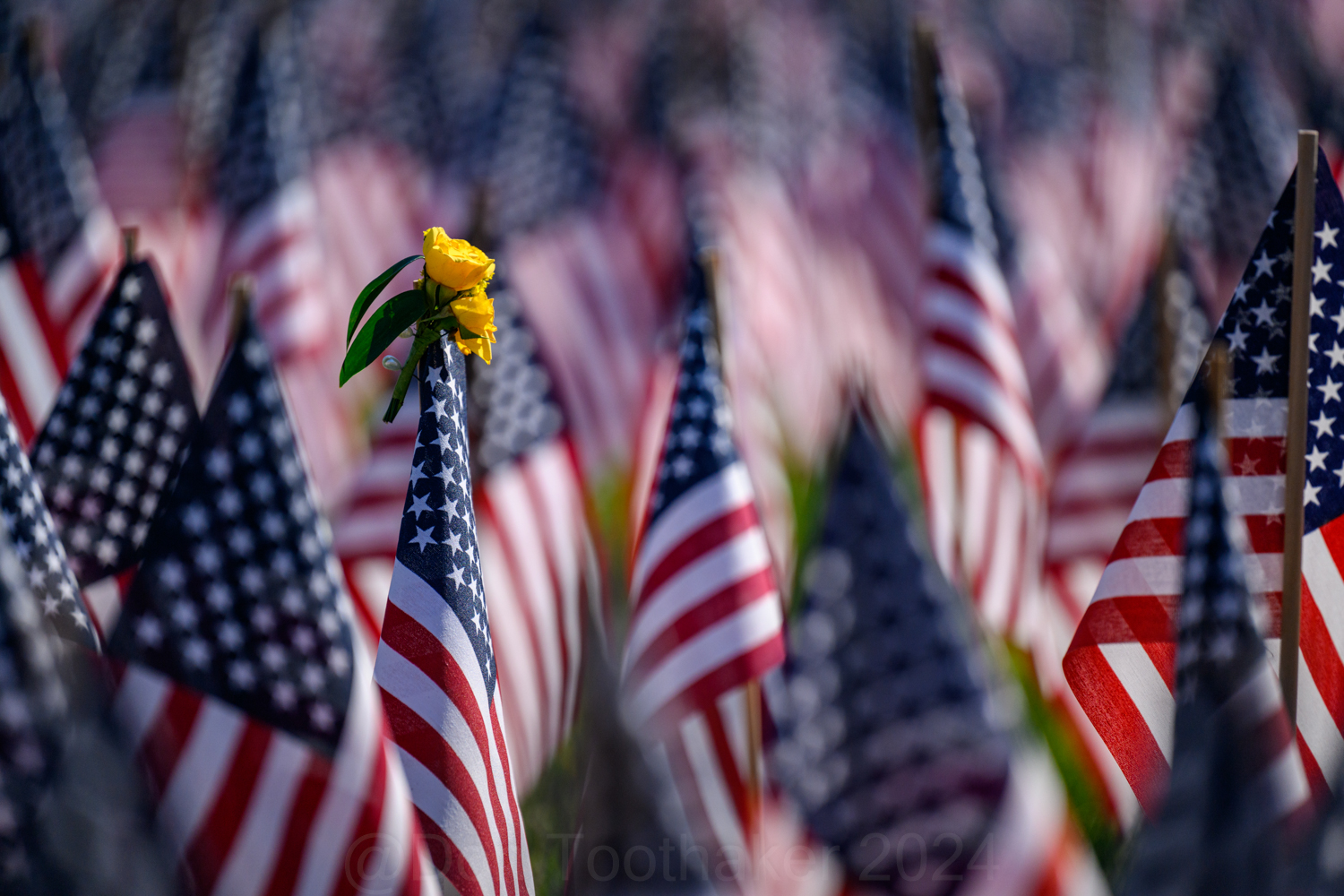 Thanksgiving morning. Outside, the sky is slowly filling with light and color. I am warm. I am safe. My coffee is good and hot, the house is quiet, and the wonderful scents of home cooking are comforting. I am grateful. Over time, it is astonishing how much something, a particular day, comes to mean so much to you. Thanksgiving has long been my favorite holiday, but with each passing year, it has become even more so. I could easily give up all other holidays for this one day. Thanksgiving embodies every holiday, every sentiment, every soulful reflection. Today, on the most American of holidays, we give thanks for our origins as a nation as well as our personal bounty. We have much to be thankful for. For a moment today, or more, forget the turkey, the stuffing, the pies, and the delicious but exhausting table full of food to reflect on what you have to give thanks for. Truly. Take another moment to acknowledge the meaningfulness of those who are sadly no longer with us, as well as those who gave everything to ensure we can gather to give thanks. Lovingly. Thanksgiving is no small matter. I wish everyone a happy and sincere Thanksgiving.
Photograph What You Feel
Nikon Z9
Nikon 70-200mm f2.8s Lens
ISO: 400
APT: f2.8
EXP: 1/10,000 of a Second Hand Held
.
#photographwhatyoufeel #thanksgiving #america #boston #remembrance