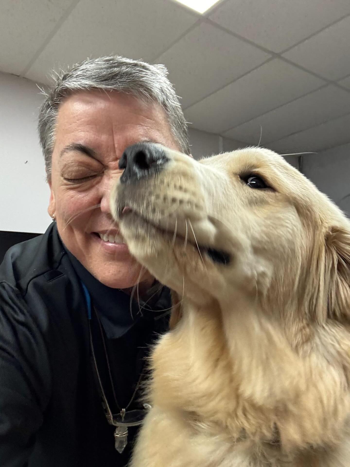 Mientras abrazo a este ser tan especial, solo tengo una palabra en el corazón: GRATITUD. 🧡🐾
A través de los años, viviendo y trabajando con perros, me he vuelto más intuitiva con ellos. Lo veo en sus ojos, en cómo se recuestan, en esos momentos de silencio entre los entrenamientos de tantos amigos Perritos que han pasado por nuestra ESCUELA…
Y lo puedo decir con total certeza:
Los perros agradecen profundamente tenernos en sus vidas.
No dicen “gracias” con palabras, pero lo dicen todos los días con su presencia, su confianza y su amor incondicional.
En este Día de Acción de Gracias, quiero hacerte una pregunta:
👉 ¿Aprecias a tu perro tanto como él te aprecia a ti?
👉 ¿Cómo se lo demuestras?
👉 ¿Ya le dijiste hoy: “gracias por estar en mi vida”?
Si no, este es tu recordatorio. Ve y dale un abrazo más largo esta noche. 💛
Cuéntame en los comentarios:
¿Qué es lo que más agradeces de tu perro hoy? Incluye su nombre.
“Oso, agradezco el amor y la alegría que nos brindas a mi familia y a mí”.
#Acción de Gracias #entrenamientodeperros #puertorico #dogtraining