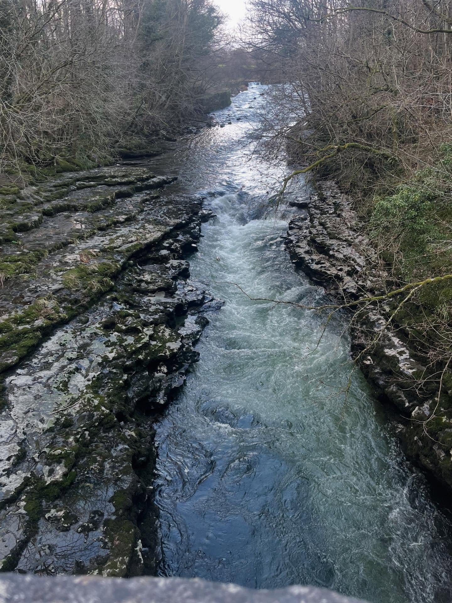 Today's non-office.
A lovely walk along the River Kent from Kendall to Sizergh. Enough to build up a healthy appetite!
Merry Christmas 🤶