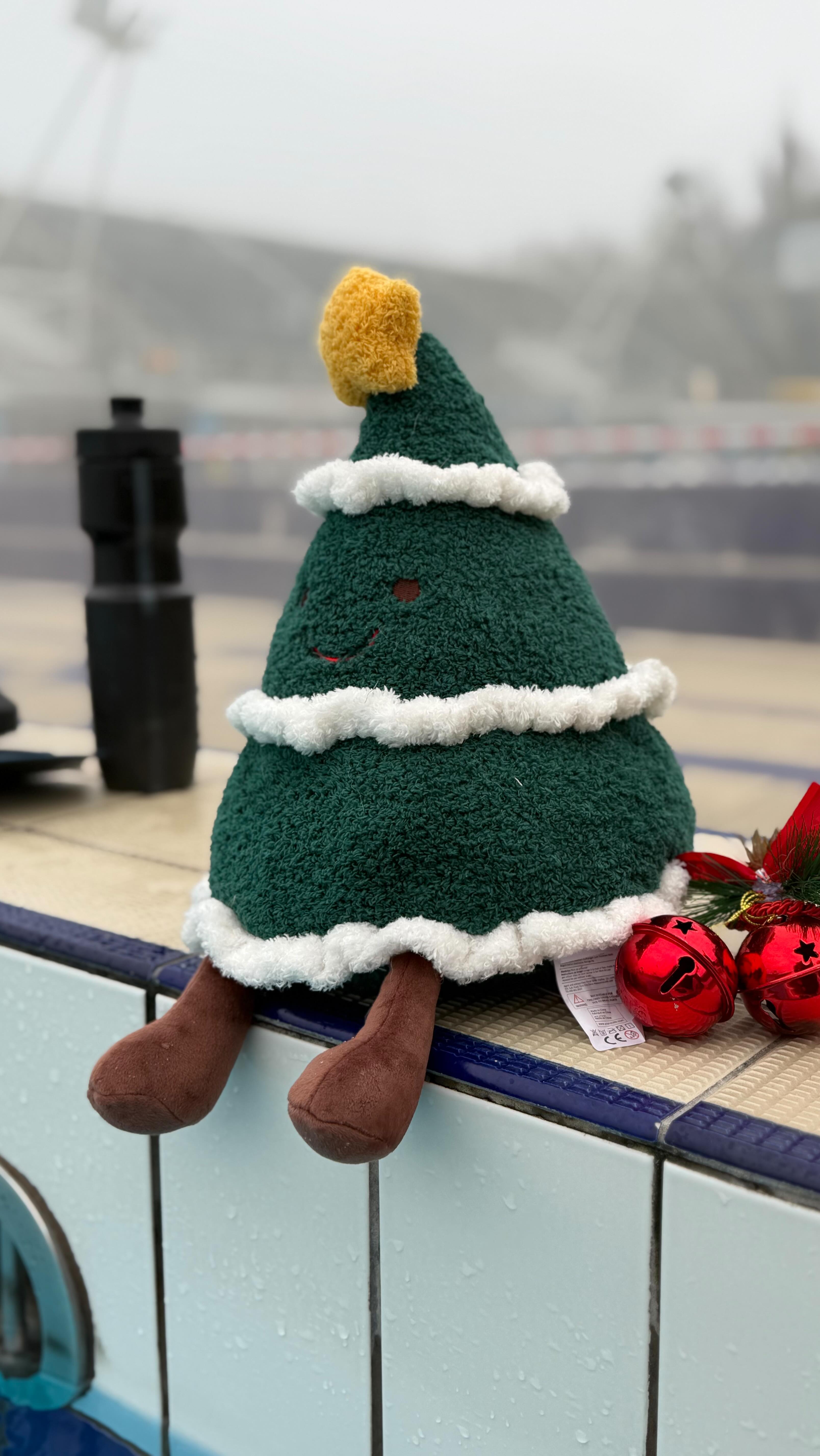 Last swim in 2025. Thank you everyone 🎄🙏 Wishing you pleasant Christmas and strong year 2026 💪