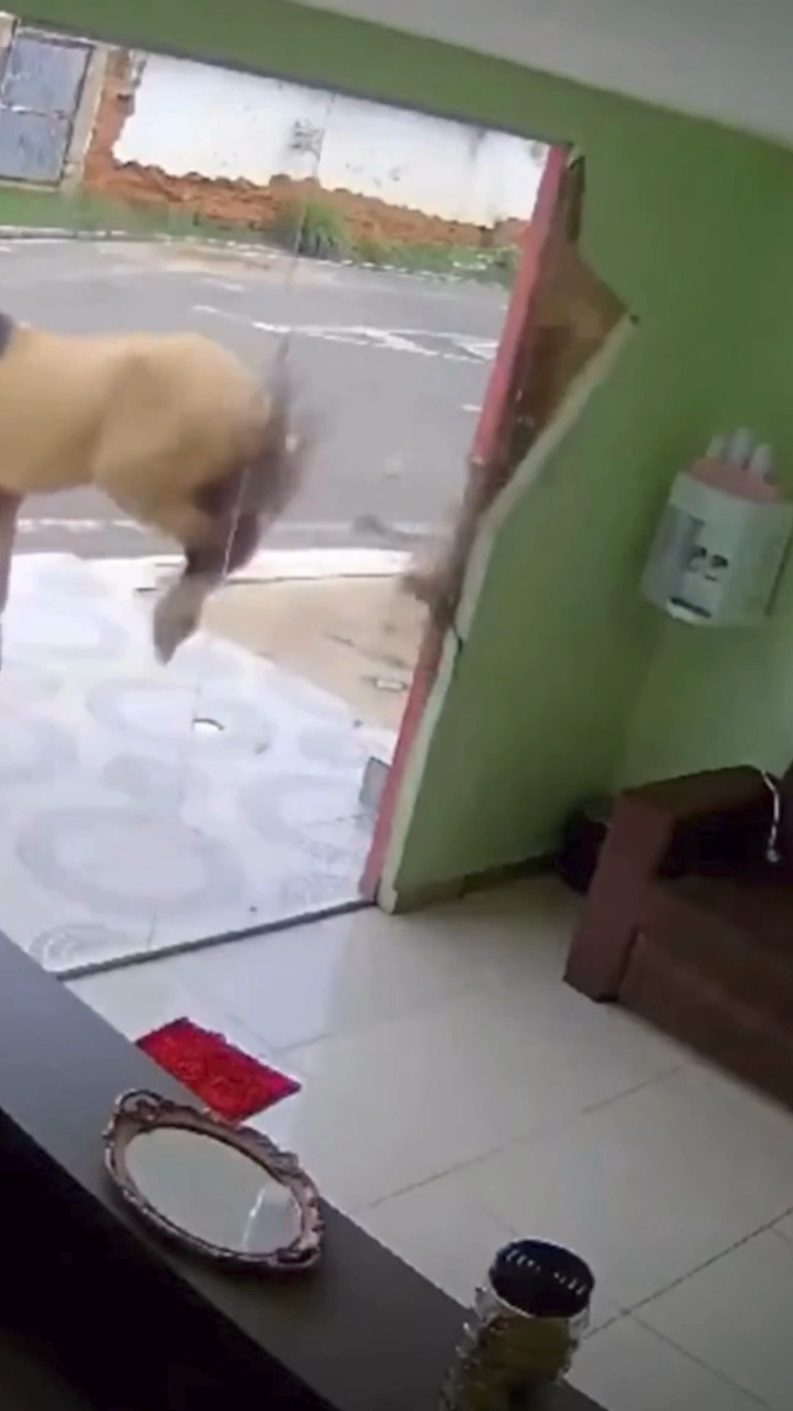 Vidrios de alto impacto: diseñados para resistir lo inesperado, creados para proteger lo que más importa.
#miamidade #miami #impactwindows #browardcounty #stylishhome #HomeImprovement #virałpost #virałreels