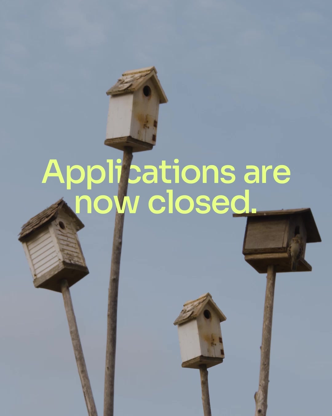 Applications are closed for the next cohort of @top50farmers and we’re blown away!
A huge thank you to every farmer who applied for next year’s cohort and to all of you who nominated someone in your community. Your passion and participation shows just how strongly the movement for regenerative agriculture is growing across Europe 💚
✨ What happens next?
Our Selection Committee will start reviewing applications with care and the Top 50 Farmers of 2026 will be revealed in March joining our alumni community of regenerative farmers from across Europe.
We can’t wait to introduce these inspiring pioneers right here on our channels and we hope that you will explore the stories from this year’s cohort until then on our website,
💌 Want to be the first to know when the Top 50 are announced?
Use the link in our bio to sign up for our newsletter and join us in celebrating the farmers daring to do things differently.
#top50farmers #t50f2026 #T50F #regenag #regenerativeagriculture #regenerativefarming #soilhealth #knowyourfarmer #futureoffarming #europe