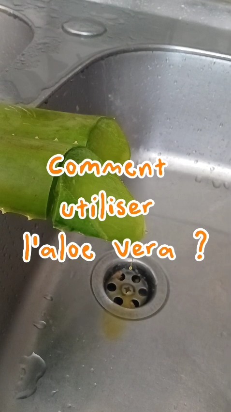 😍🌿𝐋𝐞𝐬 𝐚𝐭𝐞𝐥𝐢𝐞𝐫𝐬 𝐚̀ 𝐯𝐞𝐧𝐢𝐫 :🌿😍
😍🧼🧼 Comment récupérer le gel de l'aloe vera ? Quand découper les branches ? quelles branches découper ? Venez aux ateliers découvrir plein d'astuces pour s'occuper de soi et de sa maison au naturel, sans déchet et en faisant des économies !
🌴- 𝐯𝐞𝐧𝐝𝐫𝐞𝐝𝐢 𝟏𝟏𝐡𝟎𝟎 𝟏𝟒𝐡𝟒𝟓 - 𝐚𝐭𝐞𝐥𝐢𝐞𝐫 𝐥𝐞𝐬𝐬𝐢𝐯𝐞 𝐞́𝐜𝐨𝐧𝐨𝐦𝐢𝐪𝐮𝐞, la recette ultra simple et efficace de lessive liquide. Lessive aux plantes du pays ! 𝐀𝐭𝐞𝐥𝐢𝐞𝐫 𝐠𝐫𝐚𝐭𝐮𝐢𝐭, chez Eco Recycle à Pont des français. Je serai accompagnée de plusieurs artisans et professionnels du recyclage. C'est aussi l'occasion de déposer des berlingots de lait propres, des rouleaux de papier toilette, linges, vieux électroménager ...
Saviez vous que c'est chez Eco Recycle que j'ai acheté tout mon matériel de fabrication quand j'ai commencé ? j'ai encore aujourd'hui plusieurs bols inox acheté d'occasion il y a 7 ans !
👉- 𝐬𝐚𝐦𝐞𝐝𝐢 𝟏𝟎𝐡 𝟏𝟐𝐡𝟎𝟎 - 𝐚𝐭𝐞𝐥𝐢𝐞𝐫 𝐜𝐨𝐜𝐨 𝐚̀ 𝐫𝐞́𝐜𝐮𝐫𝐞𝐫, où comment tout nettoyer dans sa maison avec efficacité et un tout petit budget, atelier gratuit à la maison de la biodiversité
👉 - 𝐬𝐚𝐦𝐞𝐝𝐢 𝟏𝟒𝐡 𝟏𝟔𝐡𝟎𝟎 - 𝐚𝐭𝐞𝐥𝐢𝐞𝐫 𝐠𝐞𝐥 𝐝𝐨𝐮𝐜𝐡𝐞 𝐚𝐮𝐱 𝐩𝐥𝐚𝐧𝐭𝐞𝐬 𝐝𝐮 𝐩𝐚𝐲𝐬, où comment se doucher avec des ingrédients issus de la nature et sans produit nocif, atelier gratuit à la maison de la biodiversité au parc sainte Marie, plus d'informations sur noumea.nc
Toutes les informations concernant l'aloe vera c'est samedi après midi de 14h à 17h lors de l'atelier gel douche à la maison de la biodiversité !
Pour tout ces ateliers 𝐌𝐄𝐑𝐂𝐈 𝐃𝐄 𝐏𝐑𝐄𝐍𝐃𝐑𝐄 𝐕𝐎𝐒 𝐁𝐎𝐂𝐀𝐔𝐗 afin de repartir avec votre produit !
🍃Baebao prend soin de votre peau pendant et après la douche💚
Tout savoir sur les ateliers👉 https://www.baebao.com/lesatelierssavonnes
#baebaolesavonquiltefaut #baebaolatelierquiltefaut
📷l'aloïne est à ne surtout pas mettre sur sa peau, le saviez vous ?