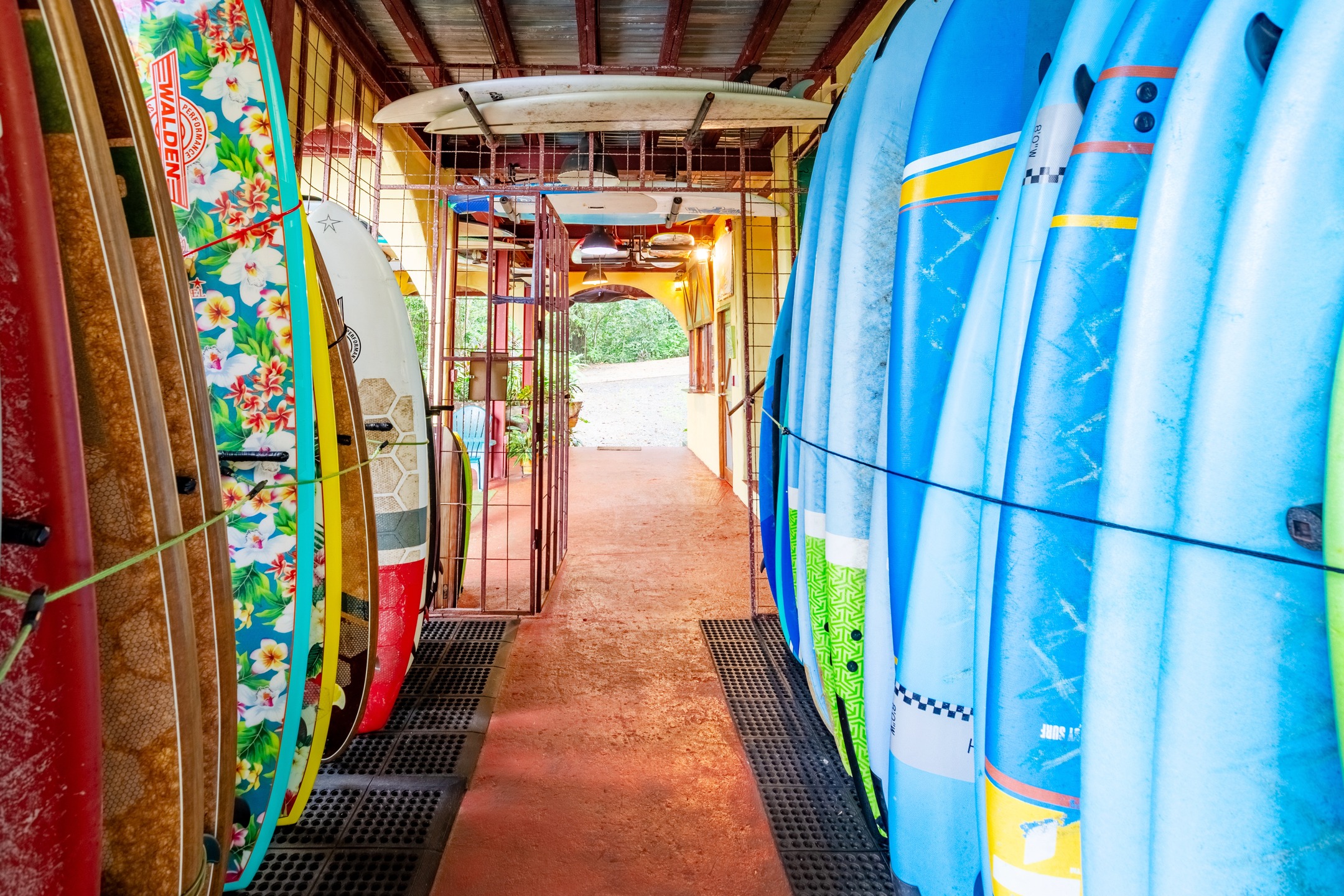With a sweet quiver of boards like this, there's no need to deal with the cost and hassle of traveling with your board. Just grab and go!
#Morrillo #AdventureTraveler #AdventurePanama
#SustainableTravels #SurfingLife #FamilyTravelAdventures #FamilyTravelMoments
#FamilyTravelIdeas #FamilyTravelAdventure #FamilyTravelTime
#AdventureFamilyTravel #AdventureTravelFamily
#AdventureTravelers #AdventureTraveller #AdventureTraveling
#FemaleSurf #WomenInSurfing #SurfChica #SurfingSisters
#femalesurfing #SurfChic #FemaleSurfer #GirlSurf
#GirlsThatSurf #GirlSurfer #SurfgirlMag #SurfAdventure #UncrowdedSurf #SurfPanama #SurfHoliday