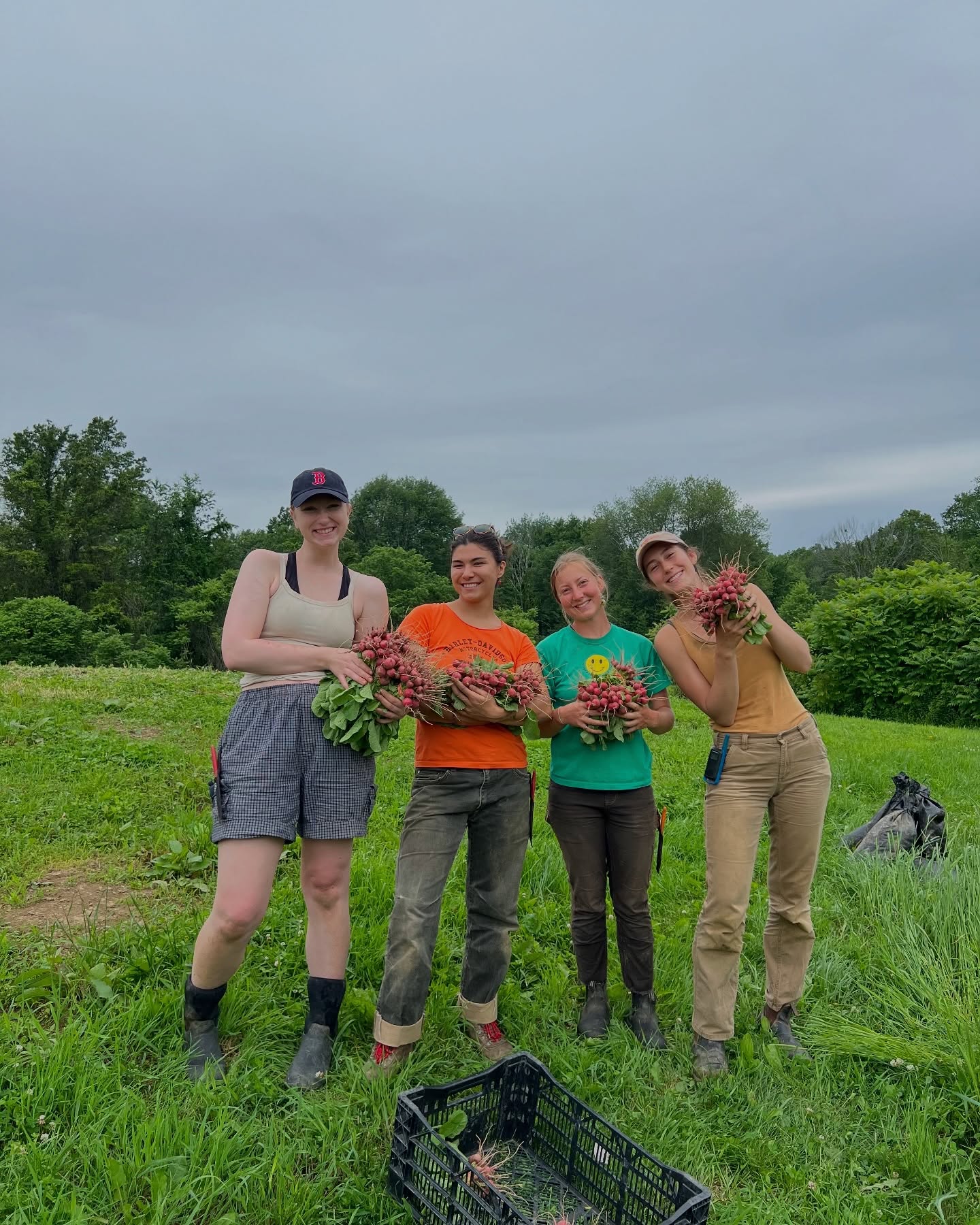We are hiring! Join our 2026 field crew as an apprentice. Our apprentices gain hands on farming experience combined with classroom learning through the Hudson Valley Apprenticeship program. Find out more on our website philliesbridge.org/jobs