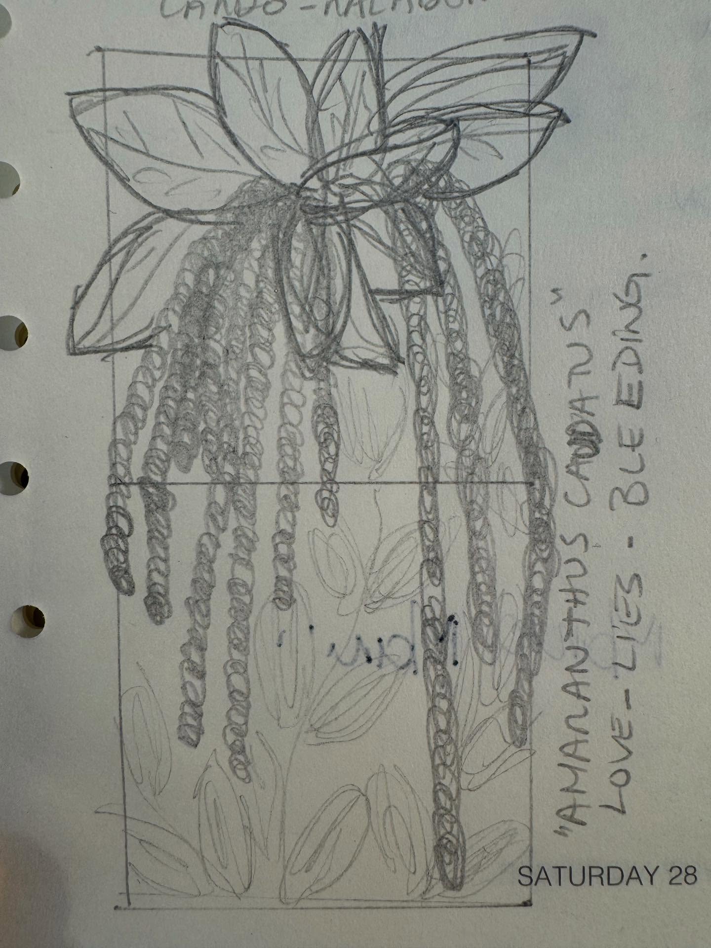 “CARURU”, 2025
23x13cm
.
.
SOLD OUT
.
.
#mariacastelbrancoceramic #handmade #oneofakind #flowers#homedecor