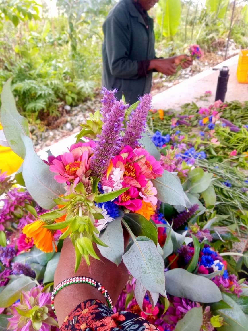 Celebrating Jamhuri Day with the colors of our regenerative garden. 🌈✨ At ForestFoods, we nurture living landscapes using Syntropic Agroforestry — a method that regenerates soil, boosts biodiversity, and yields beyond-organic produce you can taste in every bite.
Today, our system blooms in a festival of color: a vibrant tapestry that signals a thriving, self-sustaining ecosystem. These hues aren’t just pretty; they reflect the unity we celebrate on Jamhuri Day — Kenya’s journey of independence and renewal.
From seed to harvest, every plant works in harmony: nitrogen-fixing trees, dynamic layers, and nutrient cycling that feed our soils and our community. As we honor the spirit of freedom and sovereignty, we’re reminded that true abundance comes from care, cooperation, and a shared land that respects both people and planet.
Special note for today: for those who ordered a veg box, we’re including bouquets in your boxes to celebrate the season of color and renewal. A little floral joy with your greens. 🌿💐
Here’s to a future where every bite supports regenerative farming, local livelihoods, and the vibrant colors of our earth. Happy Jamhuri Day from ForestFoods! 🇰🇪🌿
#ForestFoods #SyntropicAgroforestry #RegenerativeFarming #BeyondOrganic #JamhuriDay #Kenya #Biodiversity #SoilHealth #FarmToTable #SustainableAgriculture #ColorsOfCare