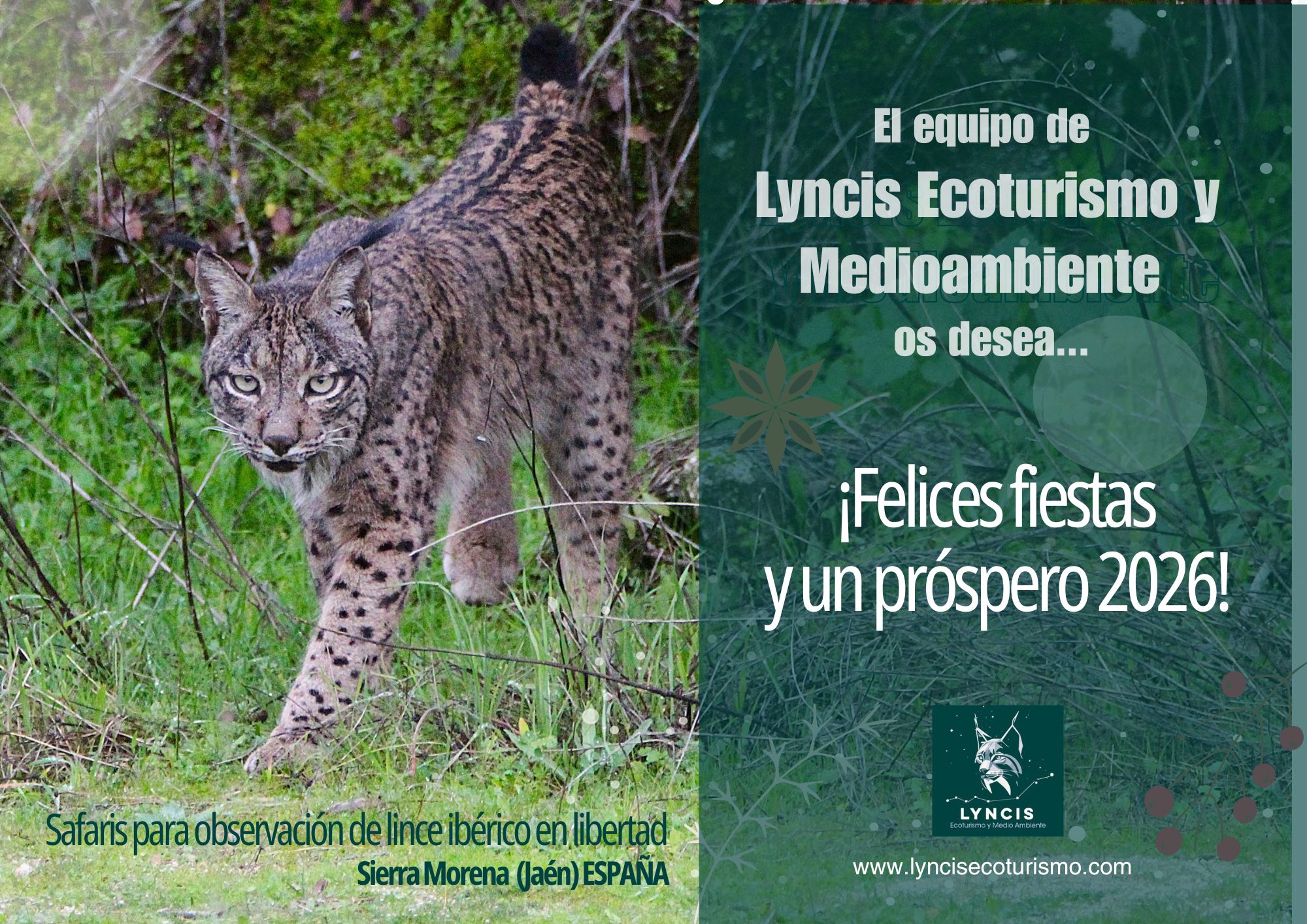 🇪🇸 Desde Lyncis Ecoturismo y Medioambiente queremos agradeceros la confianza, el respeto y el cariño con el que compartís cada experiencia con nosotros.
Que estas fechas nos recuerden la importancia de cuidar lo que nos rodea, de mirar despacio y de seguir conectando con la naturaleza desde la emoción y el compromiso.
🌿 Os deseamos una Feliz Navidad y un Año Nuevo lleno de vida, aprendizaje y momentos auténticos en el medio natural 🌿
Gracias por caminar a nuestro lado.
www.lyncisecoturismo.com
lyncisecoturismo@gmail.com
(+34) 603 90 74 35
🇬🇧 At Lyncis Ecoturismo y Medioambiente, we want to thank you for your trust, care, and the passion with which you share every experience with us.
May this season remind us of the importance of protecting our surroundings, of taking a moment to appreciate the world around us, and of staying connected to nature with both emotion and responsibility.
🌿 We wish you a Merry Christmas and a New Year full of life, learning, and unforgettable moments in the great outdoors 🌿
Thank you for walking this path with us.