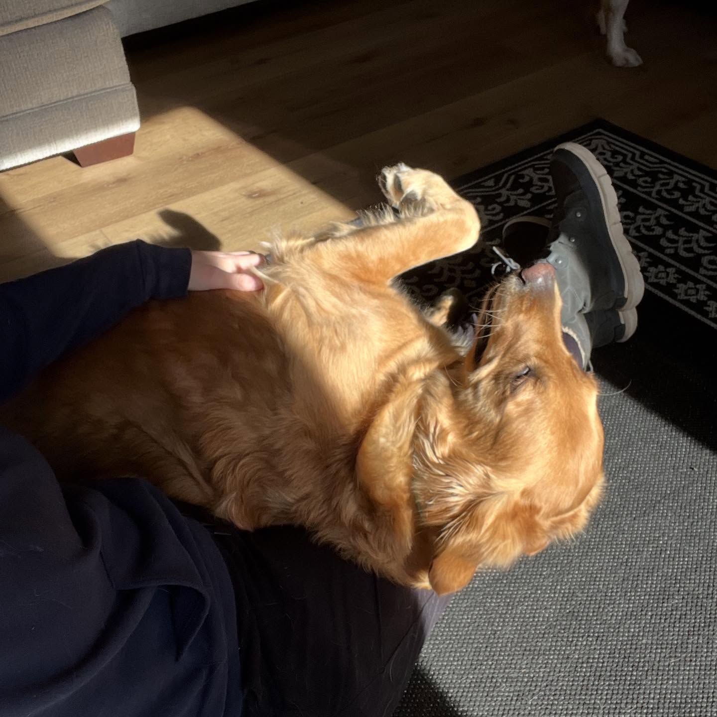 Personal space, what’s that?
- Rayne