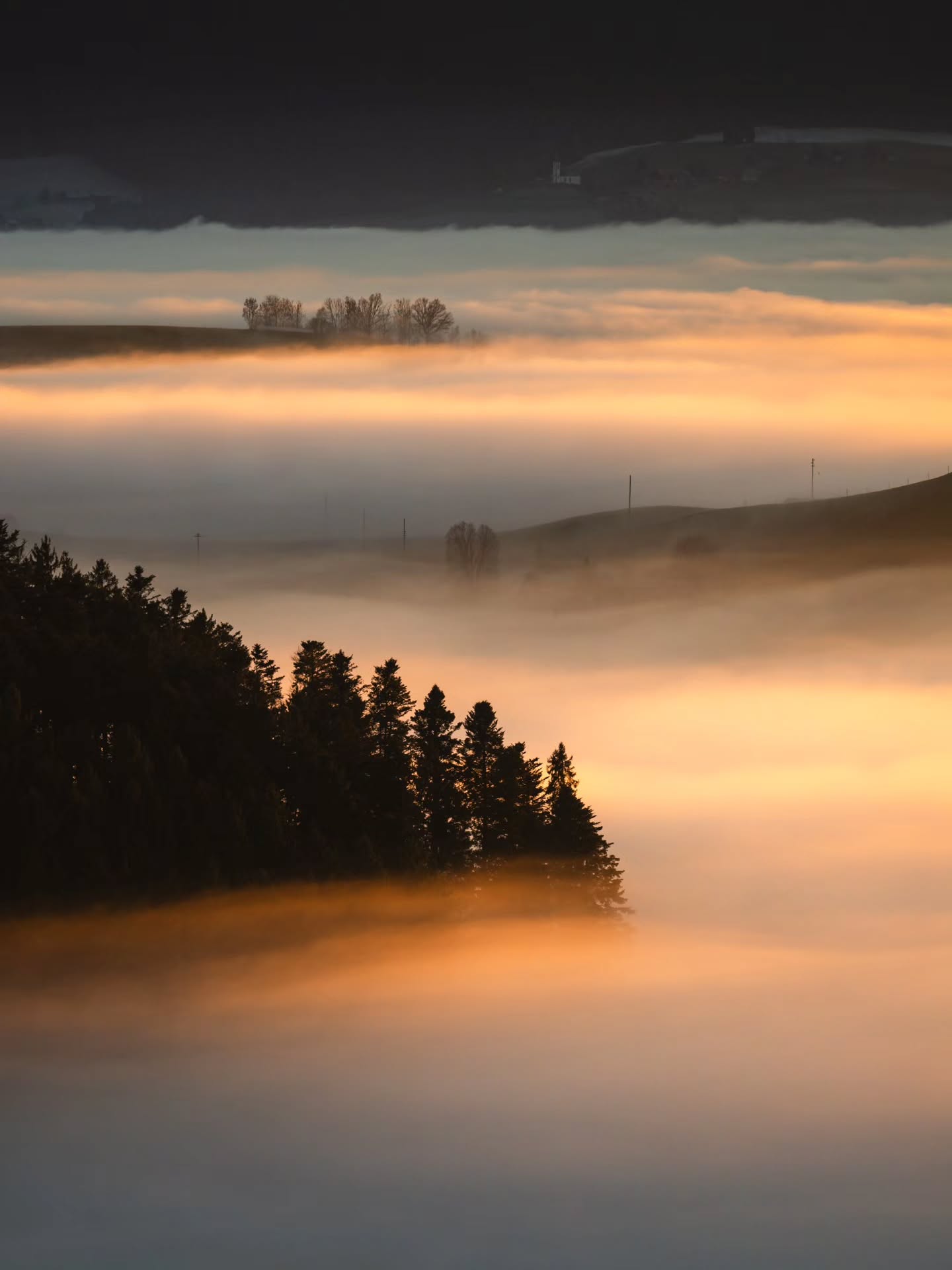 Painted by light, composed by vision.