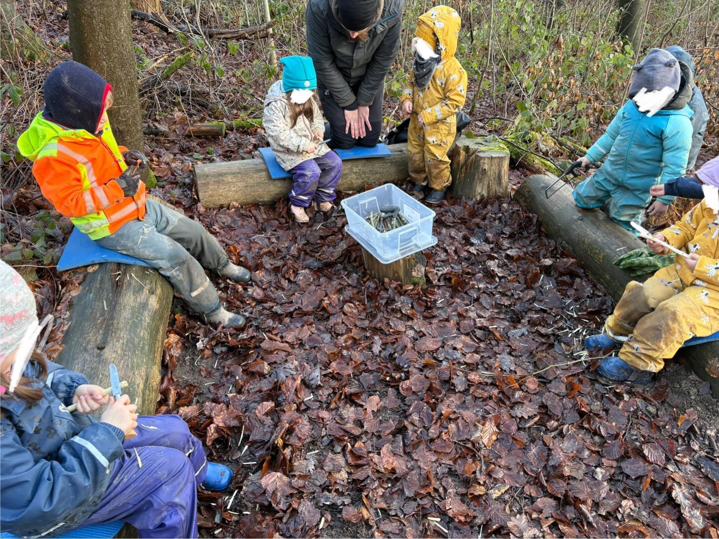 Ritzen Schnitzen und auf der Wurzel sitzen auch bei uns in unserer Waldkita. Der Schnee hat sich gelegt und wir sind auch im neuen Jahr mit viel Motivation zurück gekehrt!