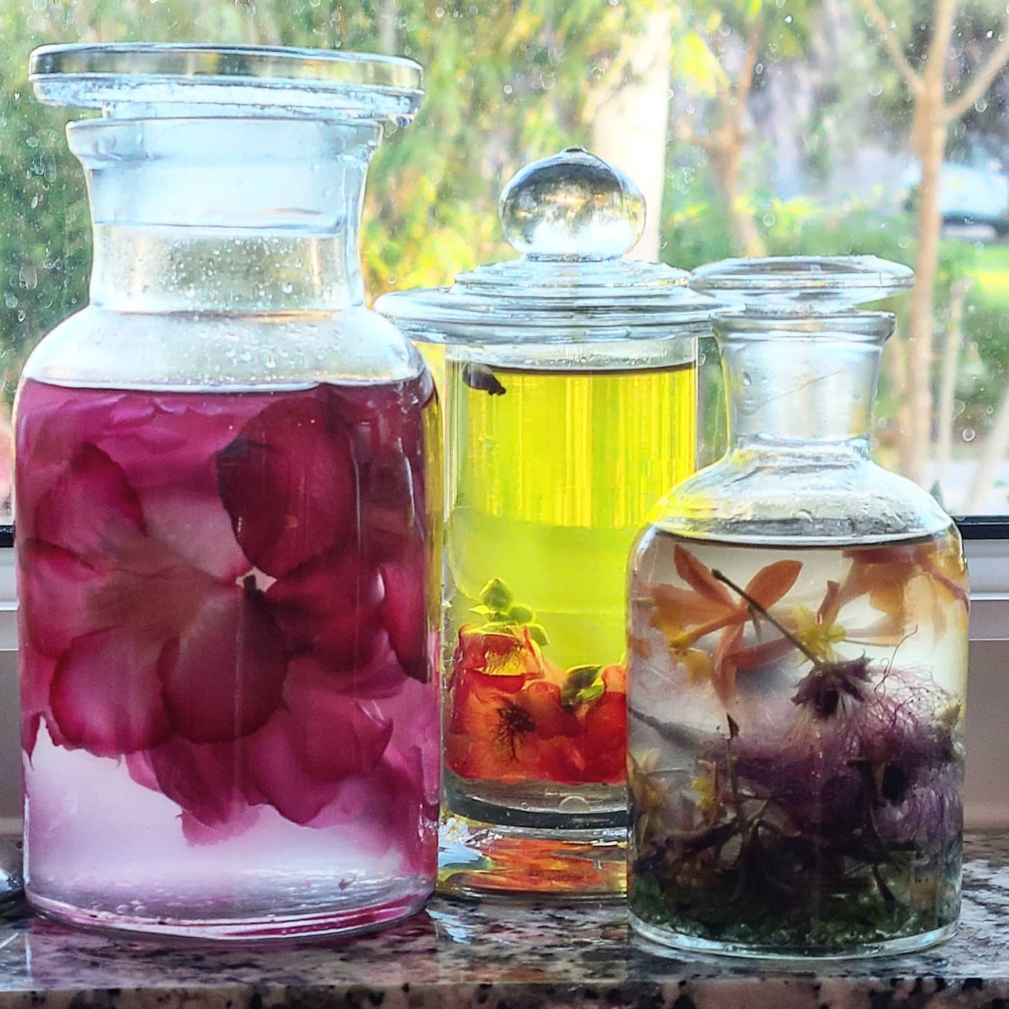 More snow globe experiments 🙏🦋🌺🧚🌺🦋🙏
..
..
..
..
..
..
..
..
..
..
..
..
..
..
#FairyFlower&Stone #iluvSnowGlobes #NatureHealsEverything #BringNatureIn #SelfCare #SafePersonalHygiene #Organic #SmallBatch #BuyLocal #SeasonalBrightLiving #BrightLife #Colortherapy #EmotionalWellbeing #EmotionalBalance #Aromatherapy #Crystals #StoneLovers #Peridot #HeartChakra #Love #Forgiveness #FlowerEssenceTherapy #EssentialOils #Sarasota #SarasotaFlorida #SouthwestFlorida #TwelveStep #AlAnon #Meditation