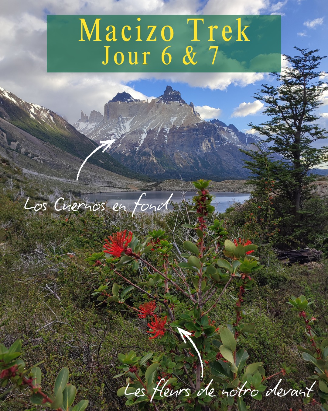 "O" T R E K - P A T A G O N I E
➡️ Jour 6 & 7: De Paine Grande à Los Cuernos puis Central
Journée assez longue pour ce jour 6 - 24 km et 800 D+ (Toujours avec les gros sacs). 🥾
Dans la matinée, nous faisons une pause au campamento Italiano pour monter jusqu’au mirador Francès. On y verra le Paine Grande et son glacier! 🤙
Après on continue direction le mirador Britanico et retour au campamento Italiano dans l'après midi ! On est rincés et ça devient dur, la montée nous a pris plus d’énergie que prévu!🫣
Mais le campement de Los Cuerno n'est pas loin, plus que 5 km et ..Ho ? Vous sentez ? L'odeur d'une bière sauvage🍺
La 1ère du trek.
Mince, ce soir c'est lentilles + tofu (+ la bière), c'est pas foufou comme mélange. Vive le vent.🌬
➡️ Jour 7: Tranquille : 13km ! (Sous la pluie aujourd'hui).
Bon du coup on rallonge un peu, on va voir le refuge Chileno qui est sur la route pour les Tres Torres où l'on ira demain pour un lever de soleil pour le dernier jour du trek.🌄
#patagonia #trekking #chile #patagonie #trek #femmesactives #chili #glacier #lacsdemontagne #macizotrek #lago #torresdelpaine