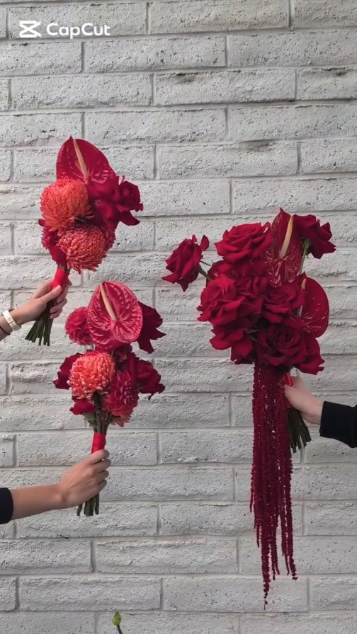Getting red romantic at the Adelaide Zoo last week. Fun, elegant and luxe vibes
#adelaideweddingsuppliers #adelaidezooweddings #redromance #weddingtrends2025