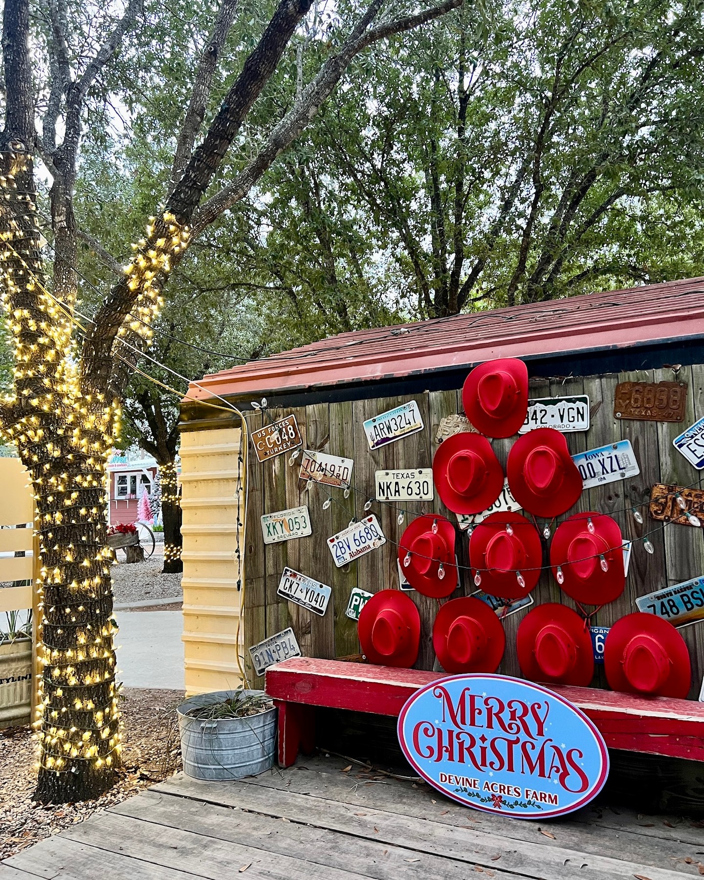 🎄❄️🎅🏼 The scene is set.. now we just need you!
Come kick off the most wonderful time of the year with us starting today! Christmas CountryFest is officially open for the season.
Tickets sold online: devineacresfarm.com