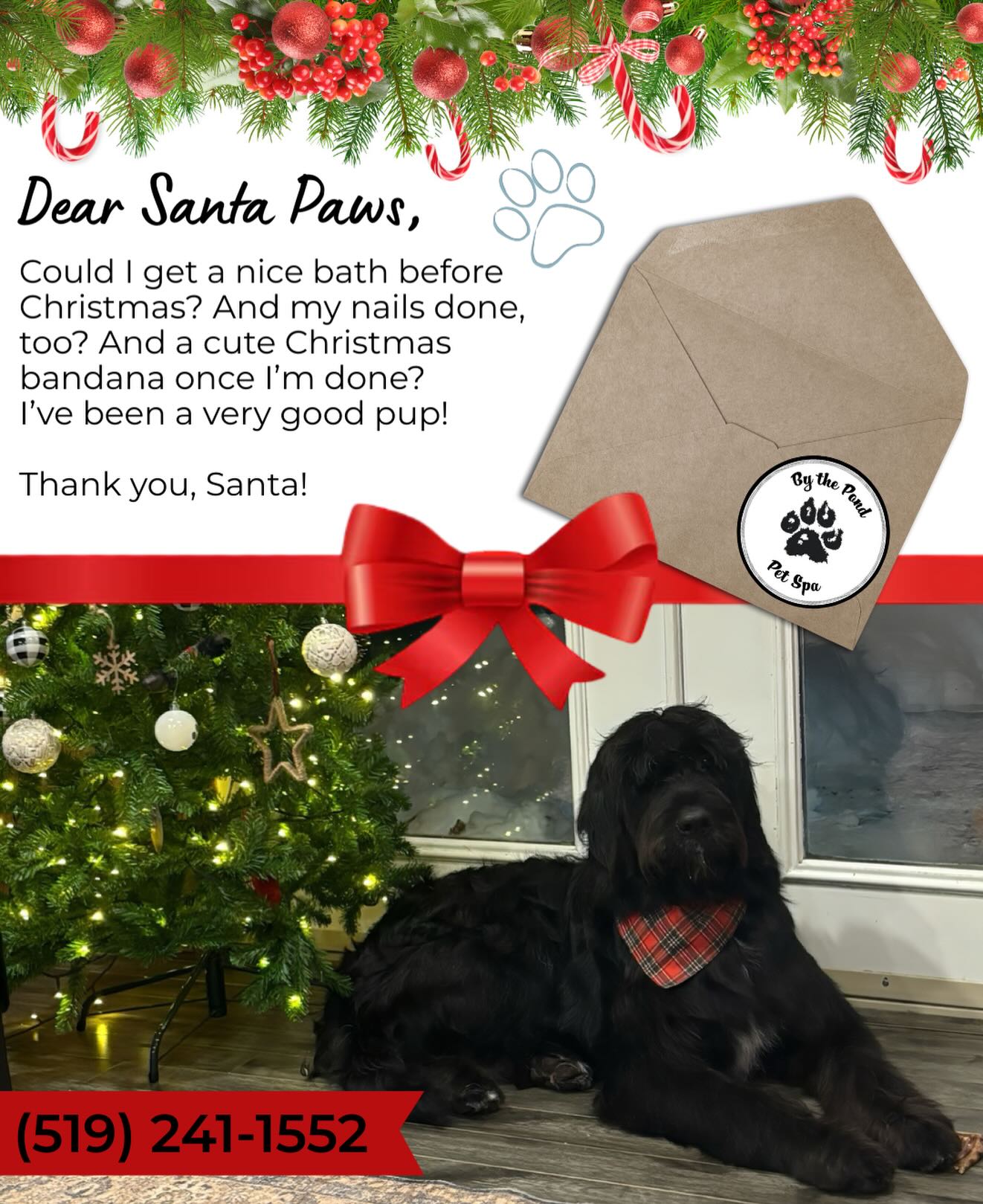 Make sure you get those letters sent to Santa Paws, while we’ve still got availability 🎁✉️
Text or call us to book your pretty pup in for their groom. (519) 241-1552
#bythepondpetspa #doggroomers #doggroomerlife #doggroomersofig #smallbusinessowners #supportsmallbusiness #dogsofinstagram #northdumfriesontario #parisontario #womeninbusiness #dogsofinstagram #aplacetolovedogs #fortheloveofdogs #doggroomingofinstagram #paw #doggo #dogsofinstagramworld #santapaws #santaclaus