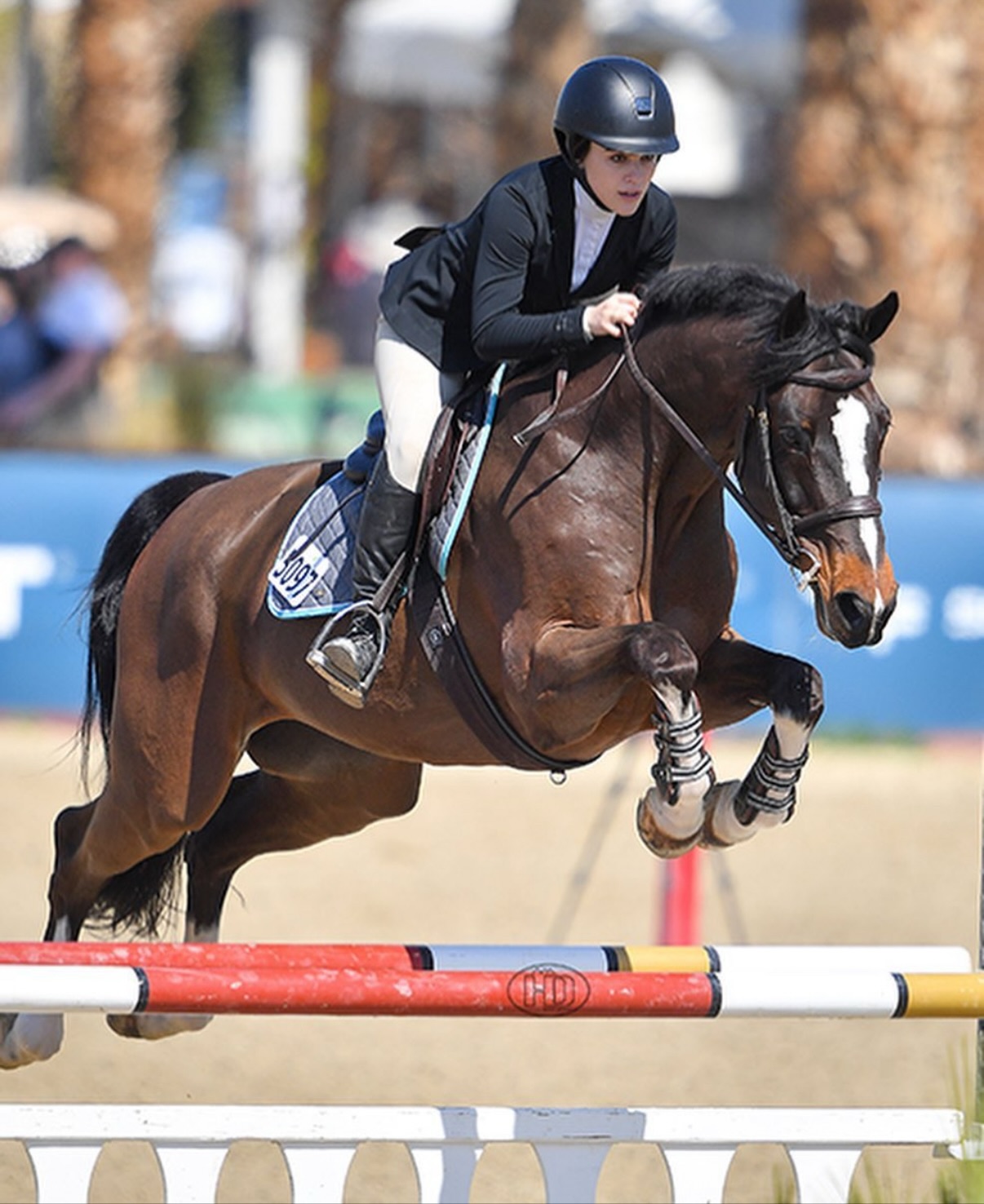Welcome to Team KMT, Caroline McCoy! Caroline is KMT’s newest assistant trainer and comes to us with experience in all the rings; hunters, jumpers and equitation! We are so excited to have you join us and look forward to an exciting year ahead!!!