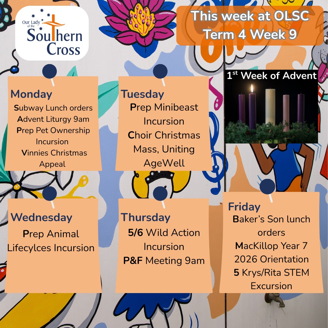 Week 9 - Another very busy week at OLSC, with some exciting incursions and excursions across the school. PSGs will also be held throughout the week.
It is also the last week for our Vinnies Christmas Food Drive. We encourage as many donations as possible. Have a great week!