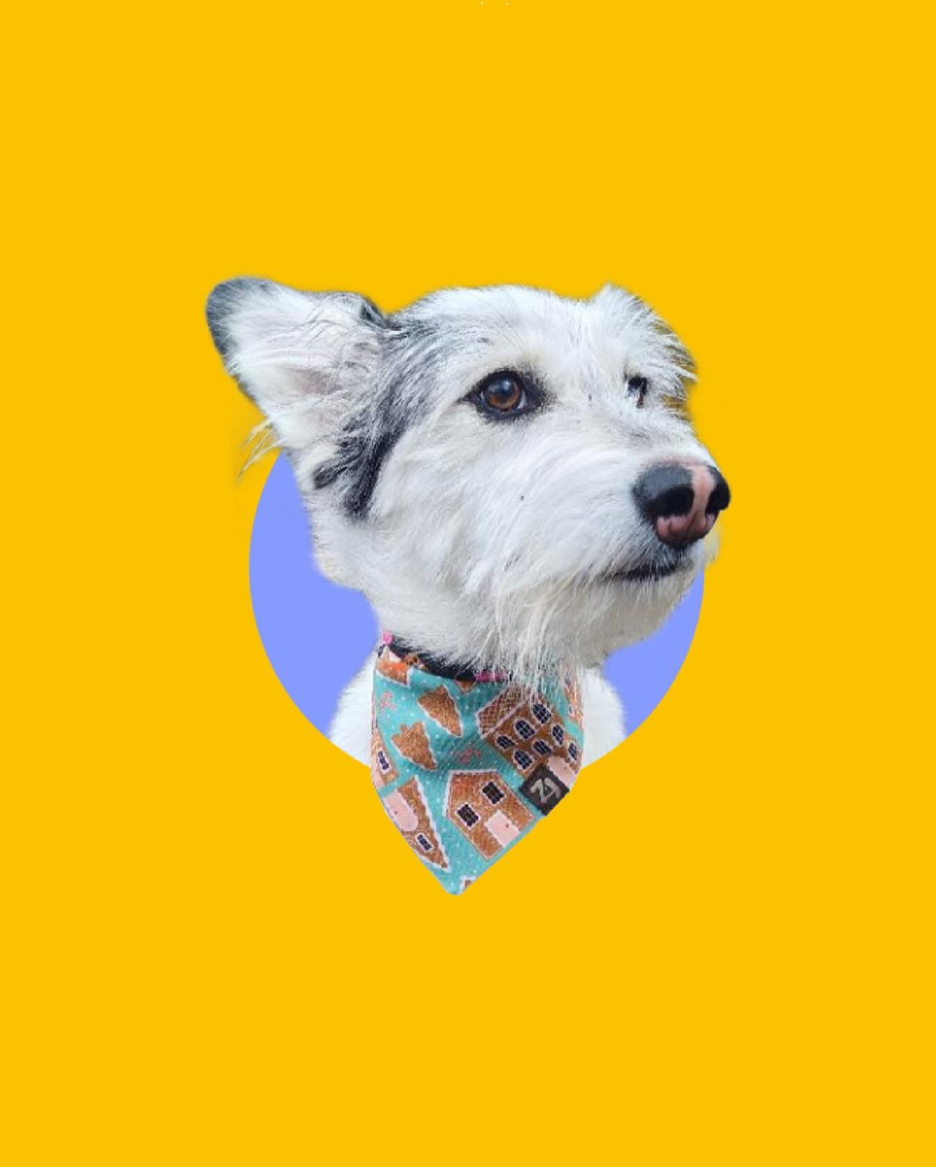 ✨Last Market of 2025 ✨
This weekend will be our last market of 2025, so join us at the Hyde Park Green with @hydeparkbia, the grinch, and some sparkling special surprises!
We will be all set up on Saturday November 29 from 2-9pm, and Sunday November 30 from 11am-3pm. ✨🎅🏽