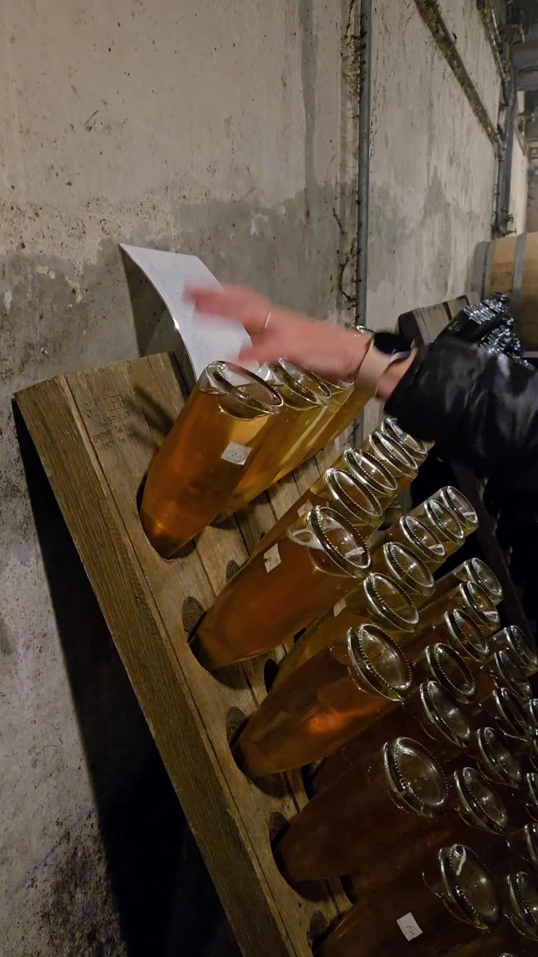 Ever wondered how the magic gets out of the bottle? Join us for our exclusive Riddling Workshop! You'll step into the shoes of a Champagne Winemaker, learning the traditional, delicate art of Remuage (riddling). Get hands-on with the turning process that brings clarity to the wine. Limited spots available—become a sparkling expert for a day! Link in bio to book! ✨
#champagne #champagnelover #luxurylifestyle #champagnelovers #champagnelife #champagneaddict #champagnesecret #champagnemoment #luxurystay #privatetours #privatechampagnetours #gastronomy #champagneluxurytrip