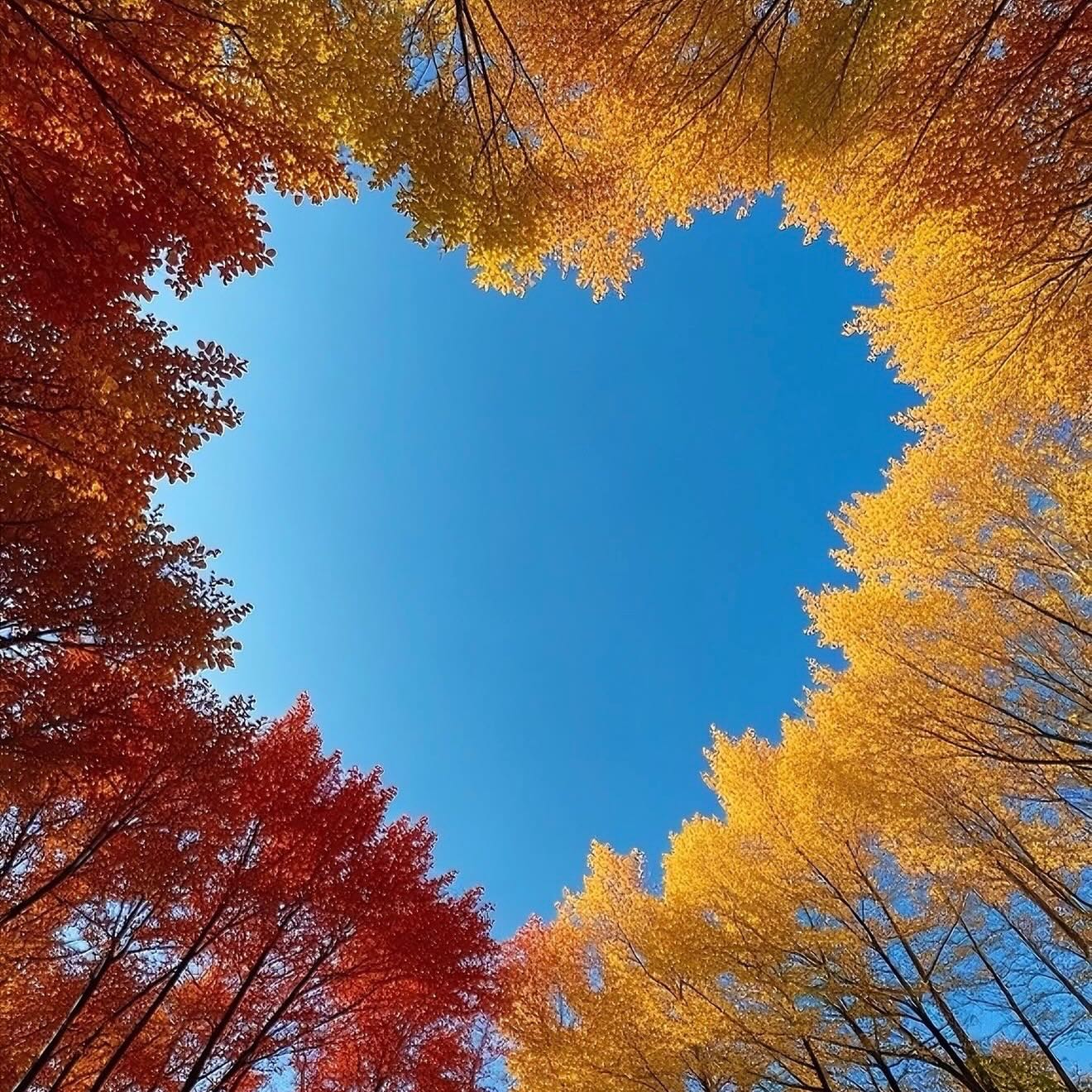 🍁 Happy Thanksgiving from PTTCT 🍁
Today we pause with grateful hearts.
Just like the leaves forming a beautiful heart in nature, we’re reminded that when love, purpose, and community come together, something truly powerful is created.
At PTTCT, we are thankful for every dreamer, every doer, every supporter, and every soul who believes in the power of growth and transformation. Your light fuels our mission.
May your day be filled with warmth, peace, and moments that remind you just how deeply you are loved and how much potential lives within you.
Happy Thanksgiving 🍂❤️
Keep growing. Keep believing. Keep becoming.