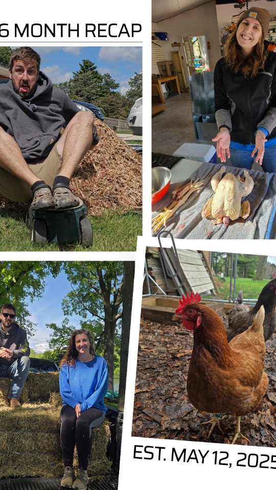 Six months since we hit “post” for the first time… and what a blessing it’s been.
We’ve learned so much, had a blast, and we’re so grateful for everyone who’s supported Simple Grounded Life.
Thanks for being here, growing with us. 🌱🤍
#SimpleGroundedLife #HomesteadLife #GratefulHearts #SixMonthRecap #FromTheGarden #FamilyHomestead