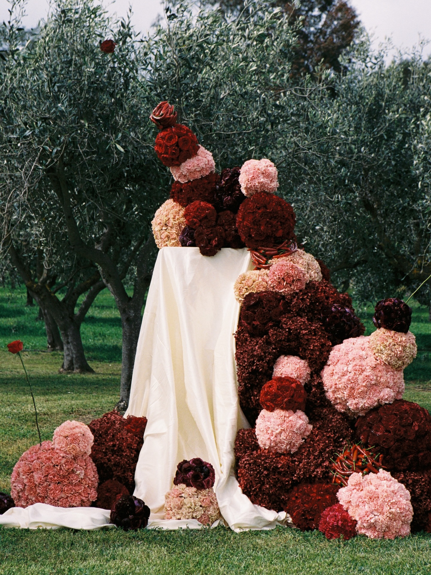 Tayla ❤️🔥&❤️🔥 Khy
THE CEREMONY
Captured by @sebastian_paynter_photo
Featured in @_anti_bride
@lloydbrothersweddings
@couturelovemadness_
@_alisha_makeup
@venue.productions
@entertainmentadelaide
@amy_harrison_celebrant
@mitchfaoa
@amysmithhairstylistau
@couturemenswear